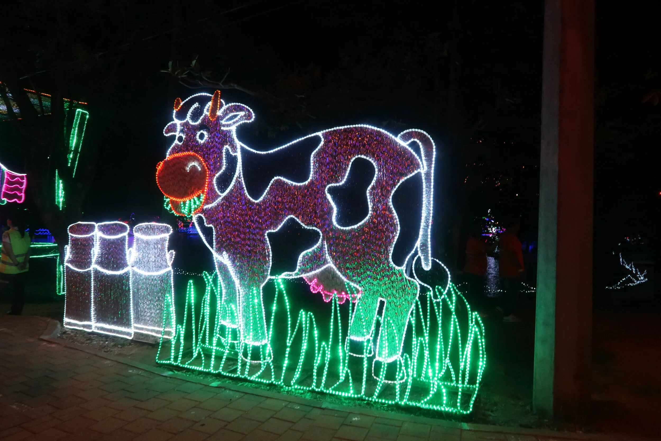 IMG_1449.JPG