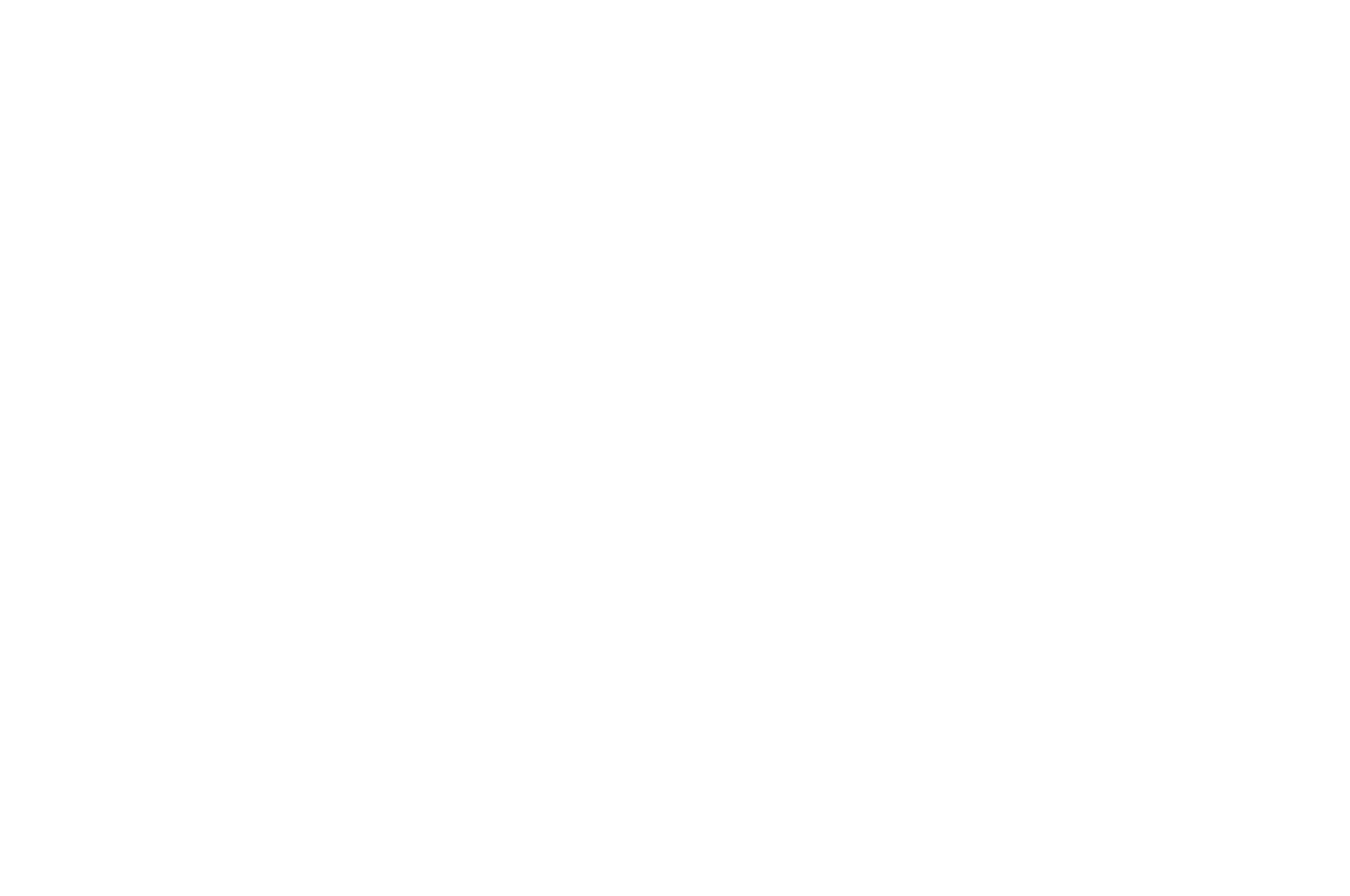 OFFICIAL SELECTION - Horror Bowl Movie Awards - 2019.png