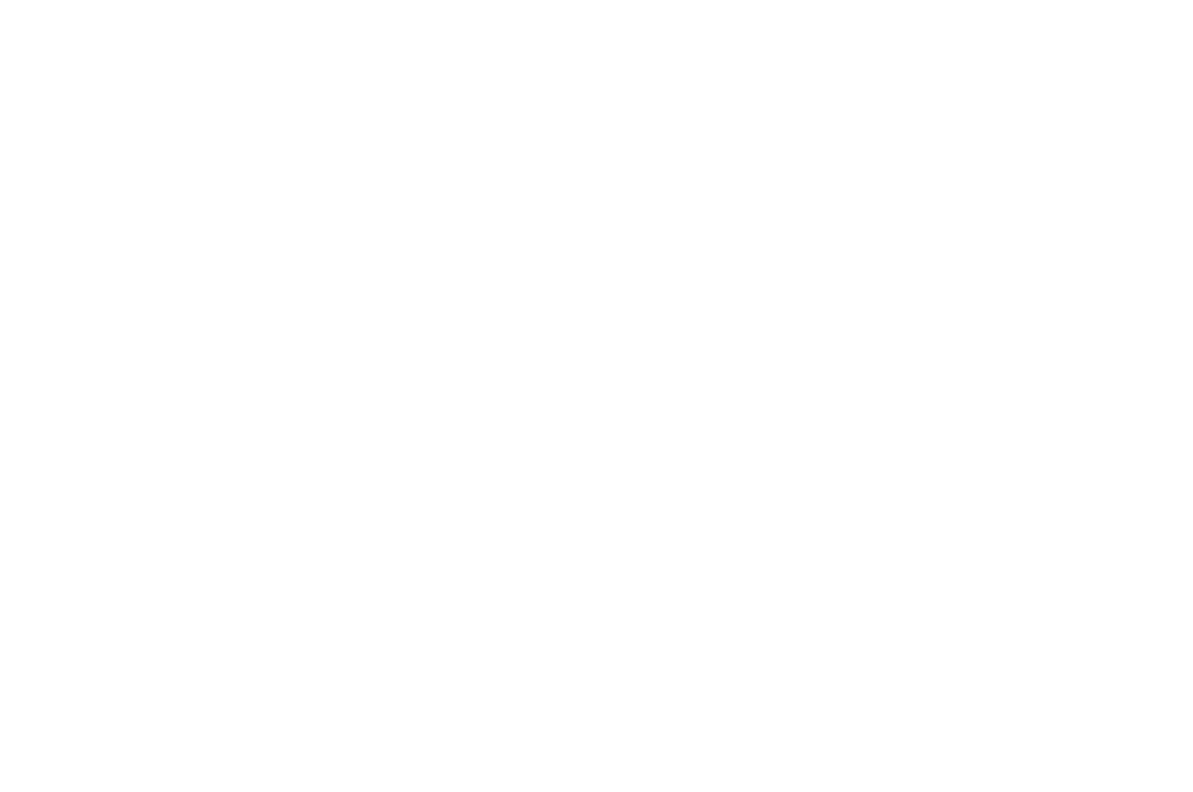 OFFICIAL SELECTION - Reedy Reels - 2019.png