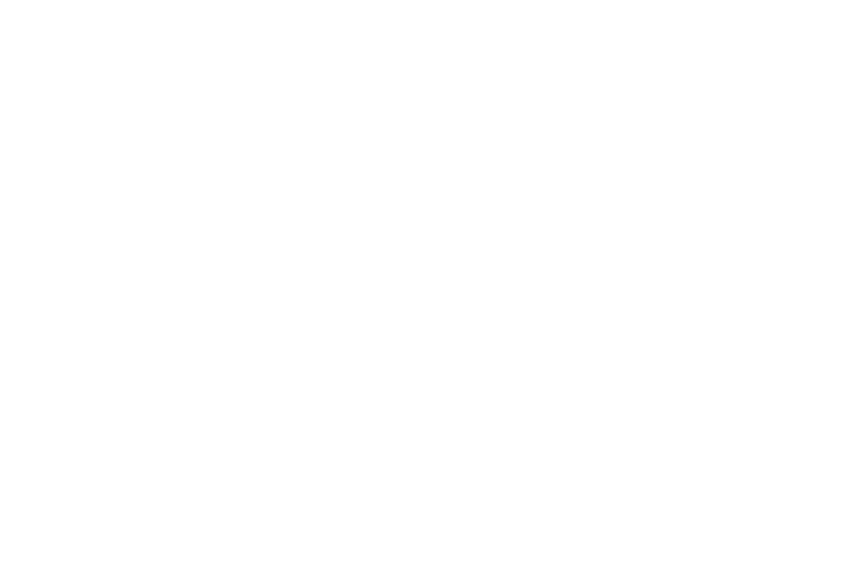 OFFICIAL SELECTION - Tryon International Film Festival - TRYON19 - 2019.png