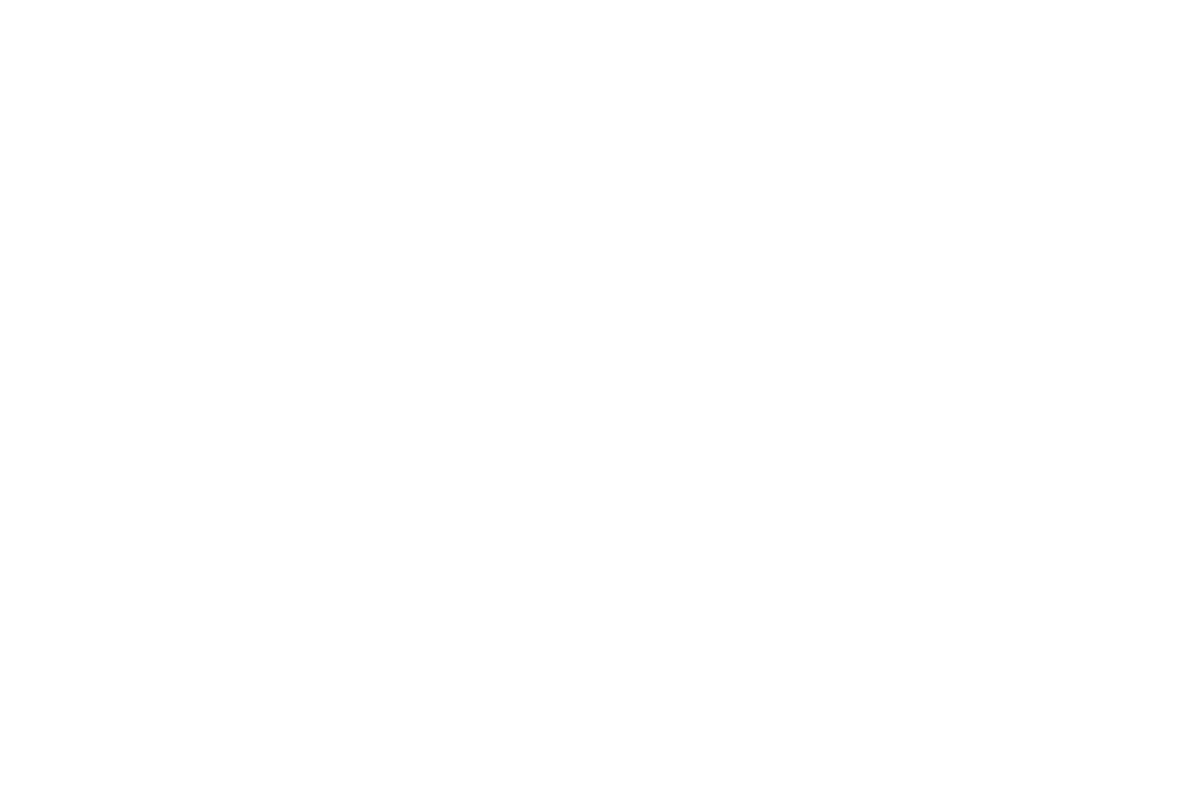 OFFICIAL SELECTION - Highlands Film Fest - 2019.png