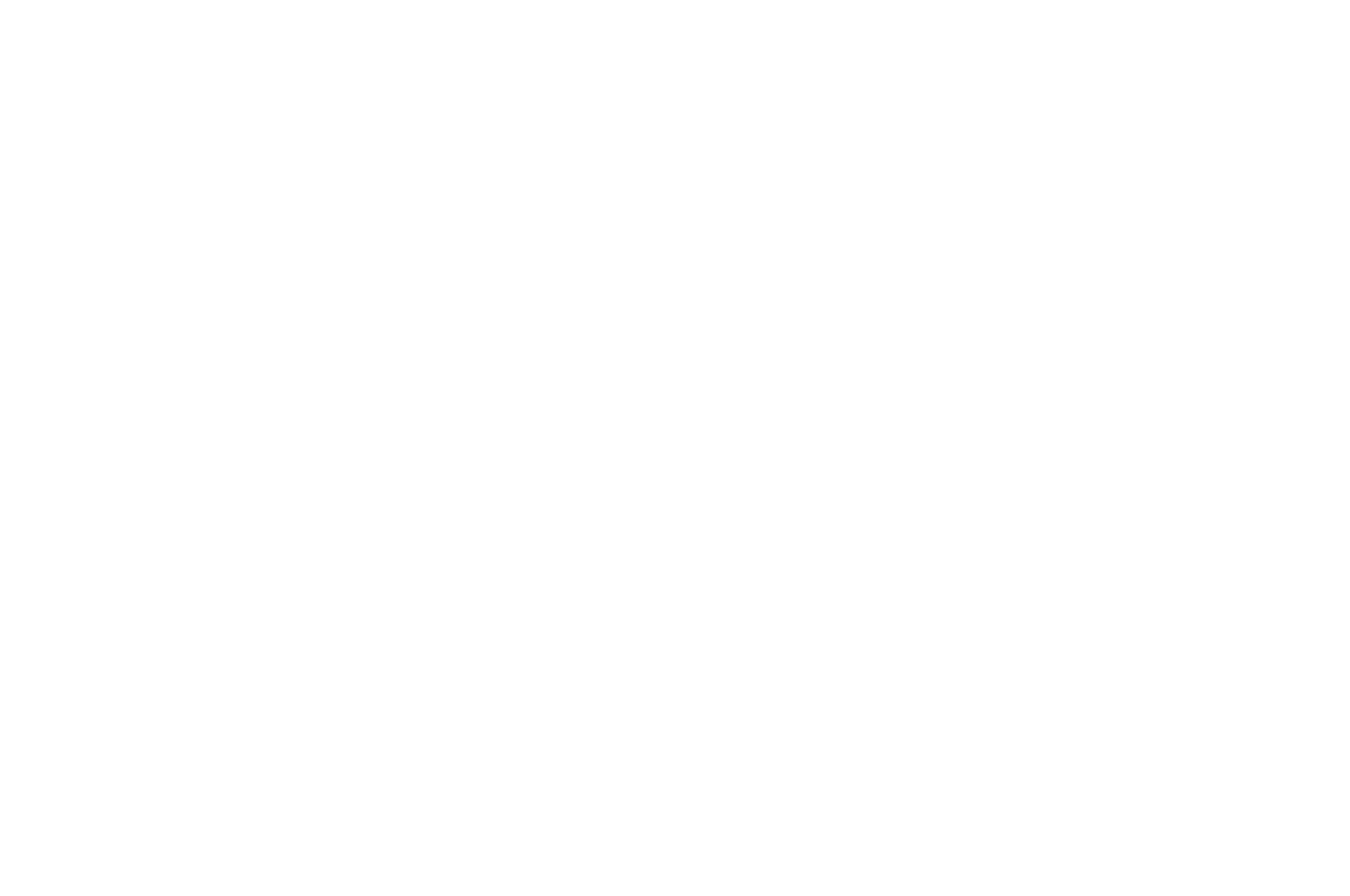 OFFICIAL SELECTION - Horror in the Hills - 2019.png
