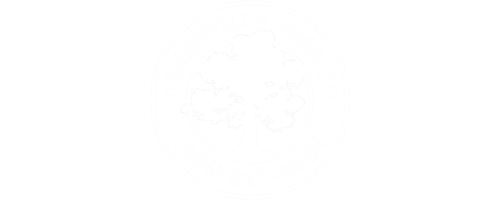 Greenville-Tree-Company.png