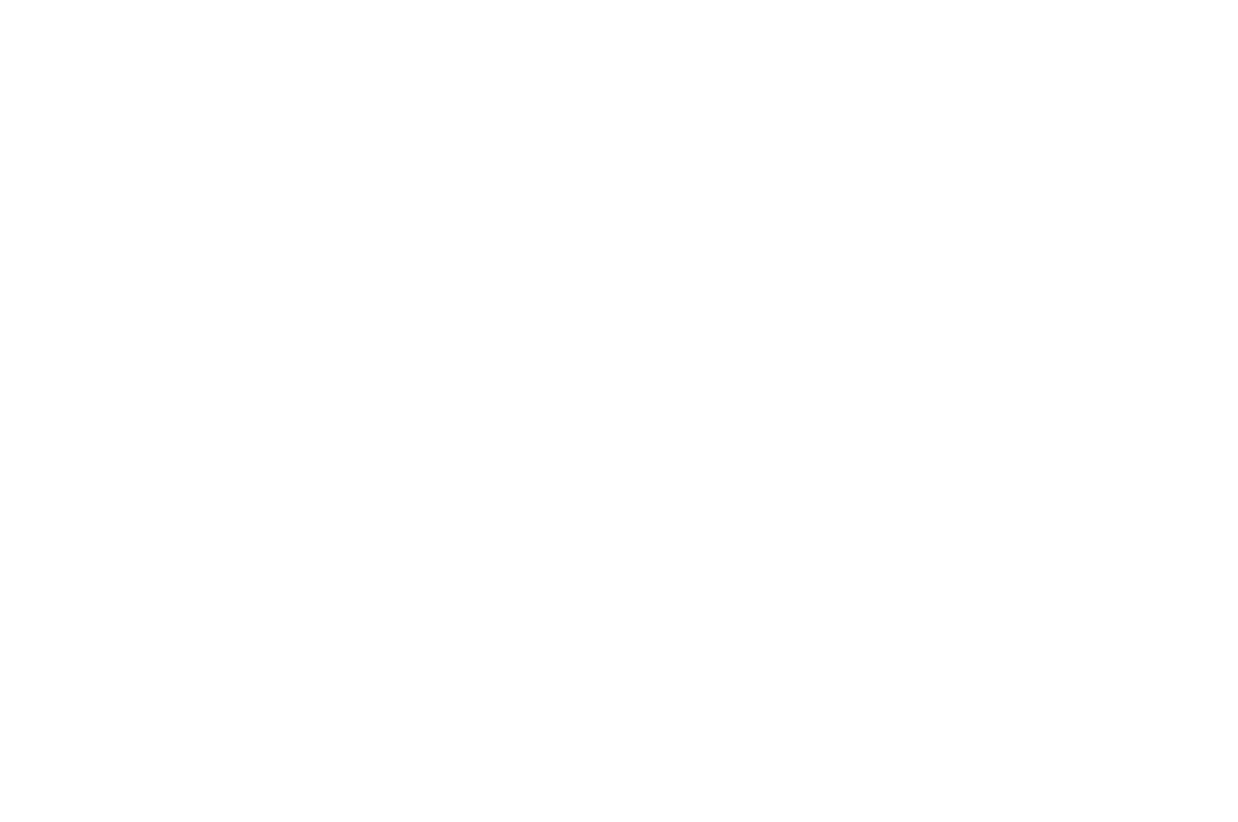 OFFICIAL SELECTION - Black Cat Picture Show - 2023.png