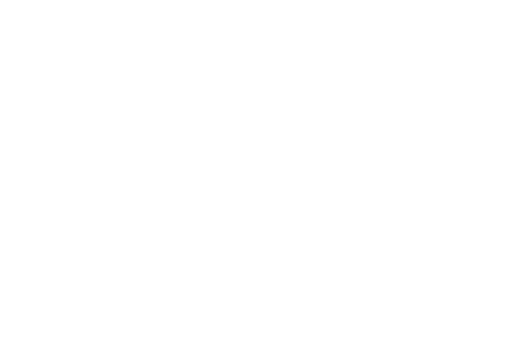 OFFICIAL SELECTION - Beaufort International Film Festival - 2024.png