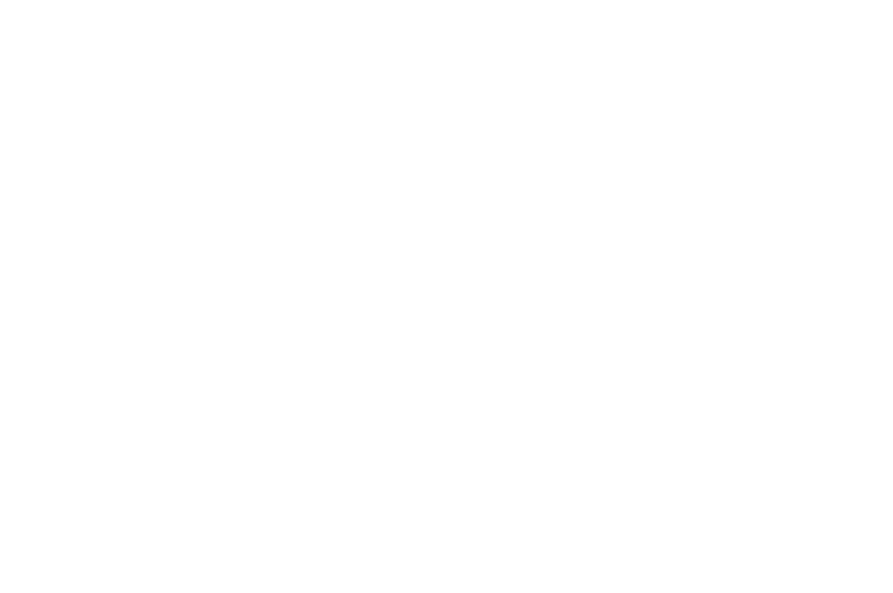 OFFICIAL SELECTION - South Carolina Underground Film Festival - 2023.png