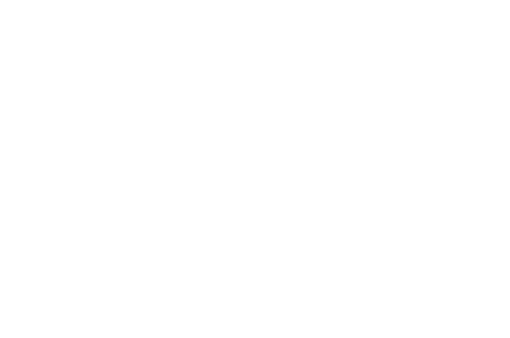OFFICIAL SELECTION - Tryon International Film Festival - 2023.png