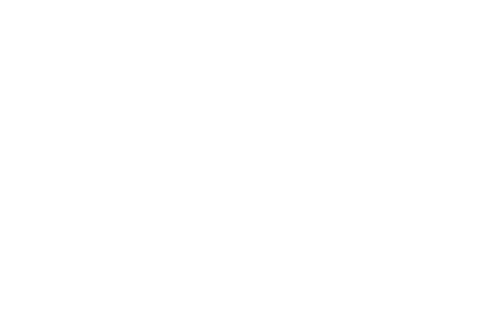 OFFICIAL SELECTION - Spotlight Documentary Film Awards - 2021.png