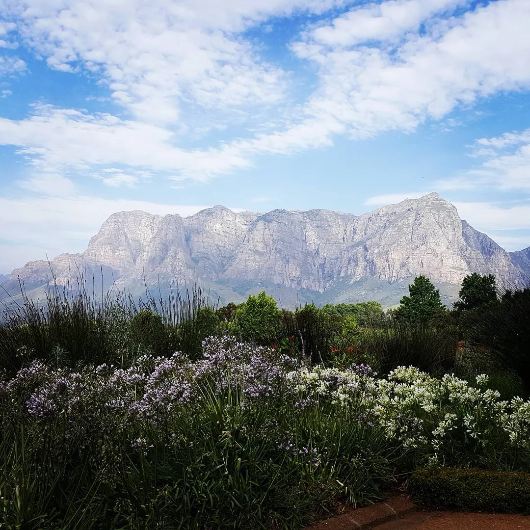 Table mountain 2.jpg