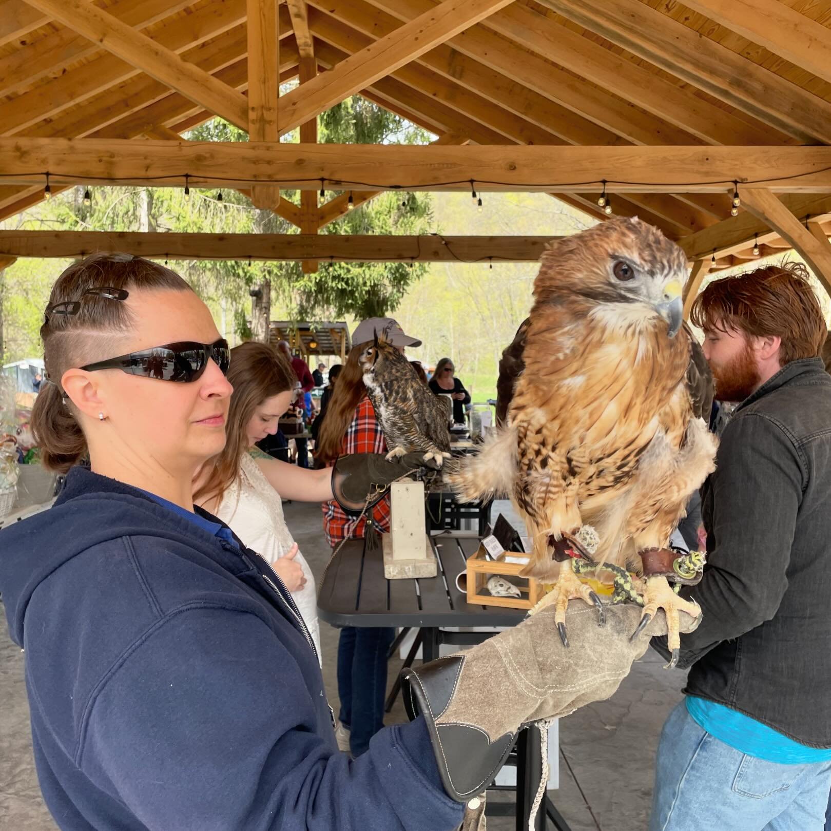 Our third annual Bird &lsquo;N Brews with @birdsofwhisperingwillow is this Sunday! Join us for an afternoon of family fun featuring winged friends from Whispering Willow, local business raffles baskets, and food from @twofortheroadfood &amp; @platedp
