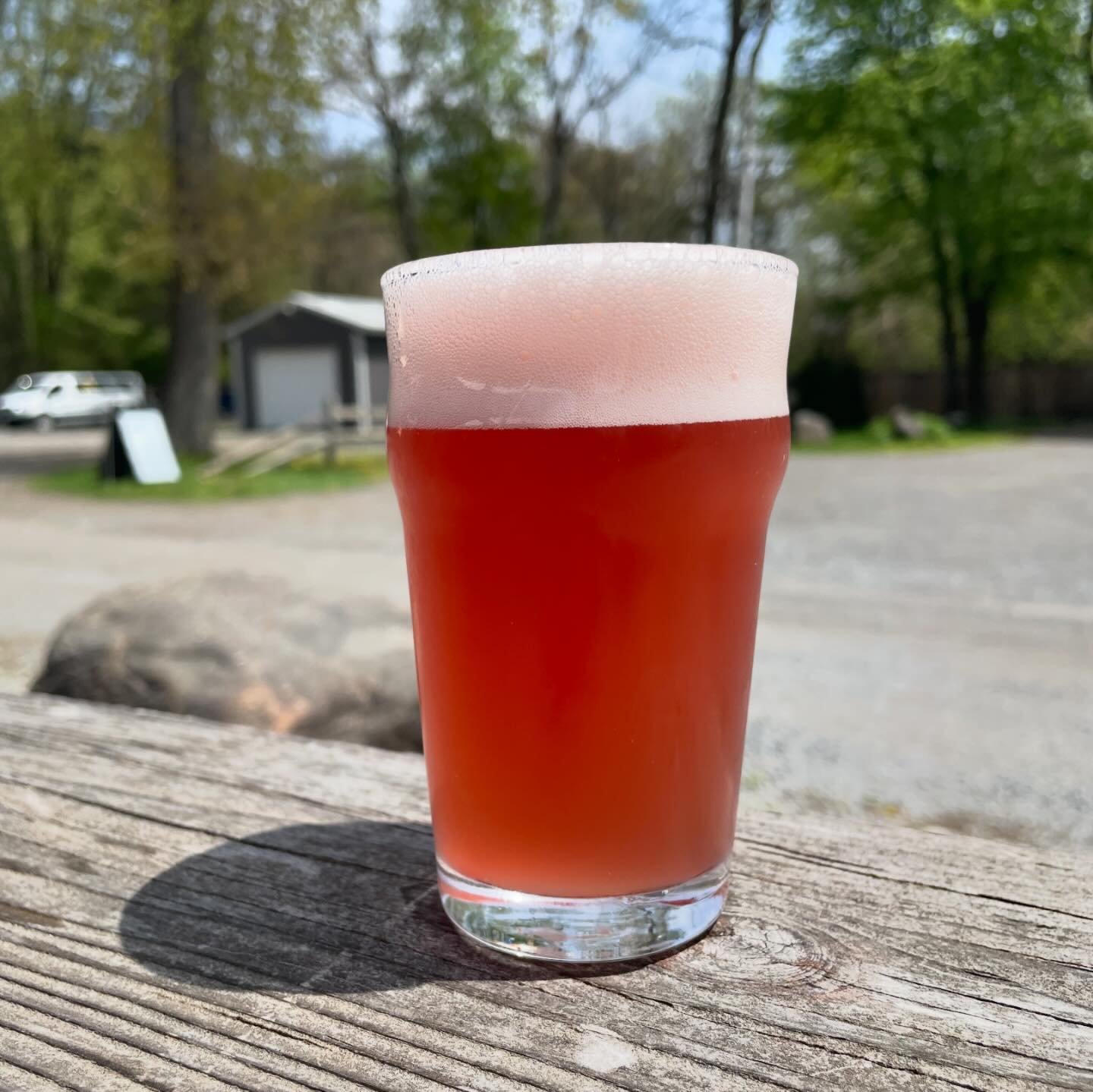 🚨New Beer🚨 Introducing Back Beet Saision. We packed this beer with smoked beets, ginger, and lemon for a refeshing blend of earthy and citrus flavors. Brewed in collaborarion with @sevenpointsbrewery, @backstagepub501, and @unbeetable_518. Live tun