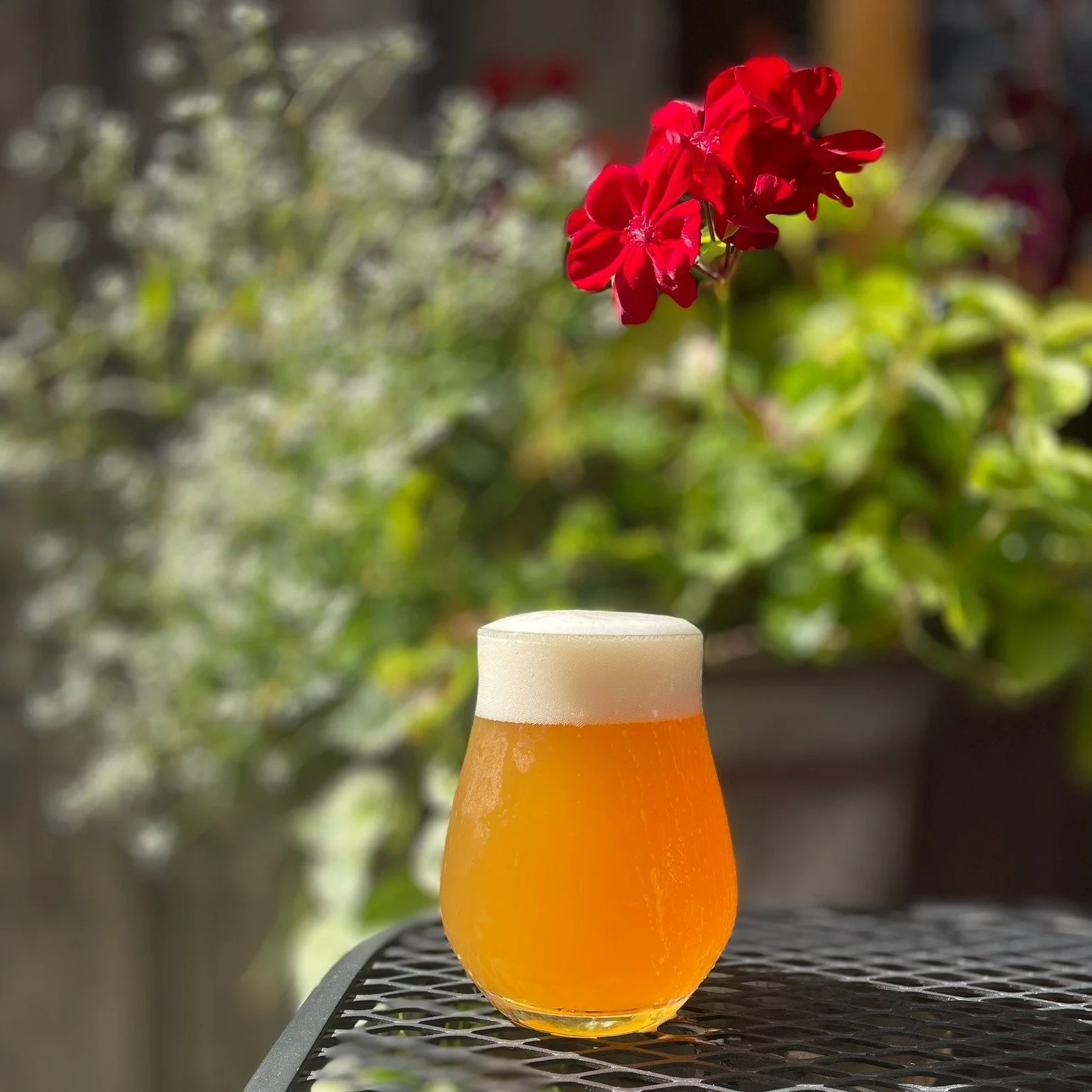 District 12 DIPA is back on tap today! This year's batch was made with  @saratogawoodandhoneyllc  spring lavender farm harvest honey. Owner Andre Lockhart will be on hand today 2-6pm with samples as well as a variety of his other products for sale! 
