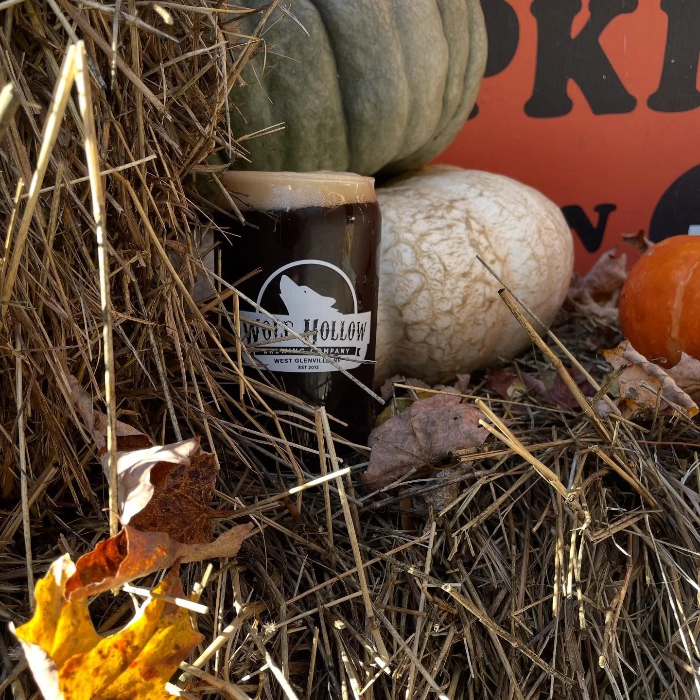 Who’s that hiding amongst the pumpkins and hay? Why, it’s Midnight Dreary! No more need to ponder weak and weary because our fan favorite Black IPA returns to the draft lines today! #Fall #Nevermore #IPA #spookyszn #Poe