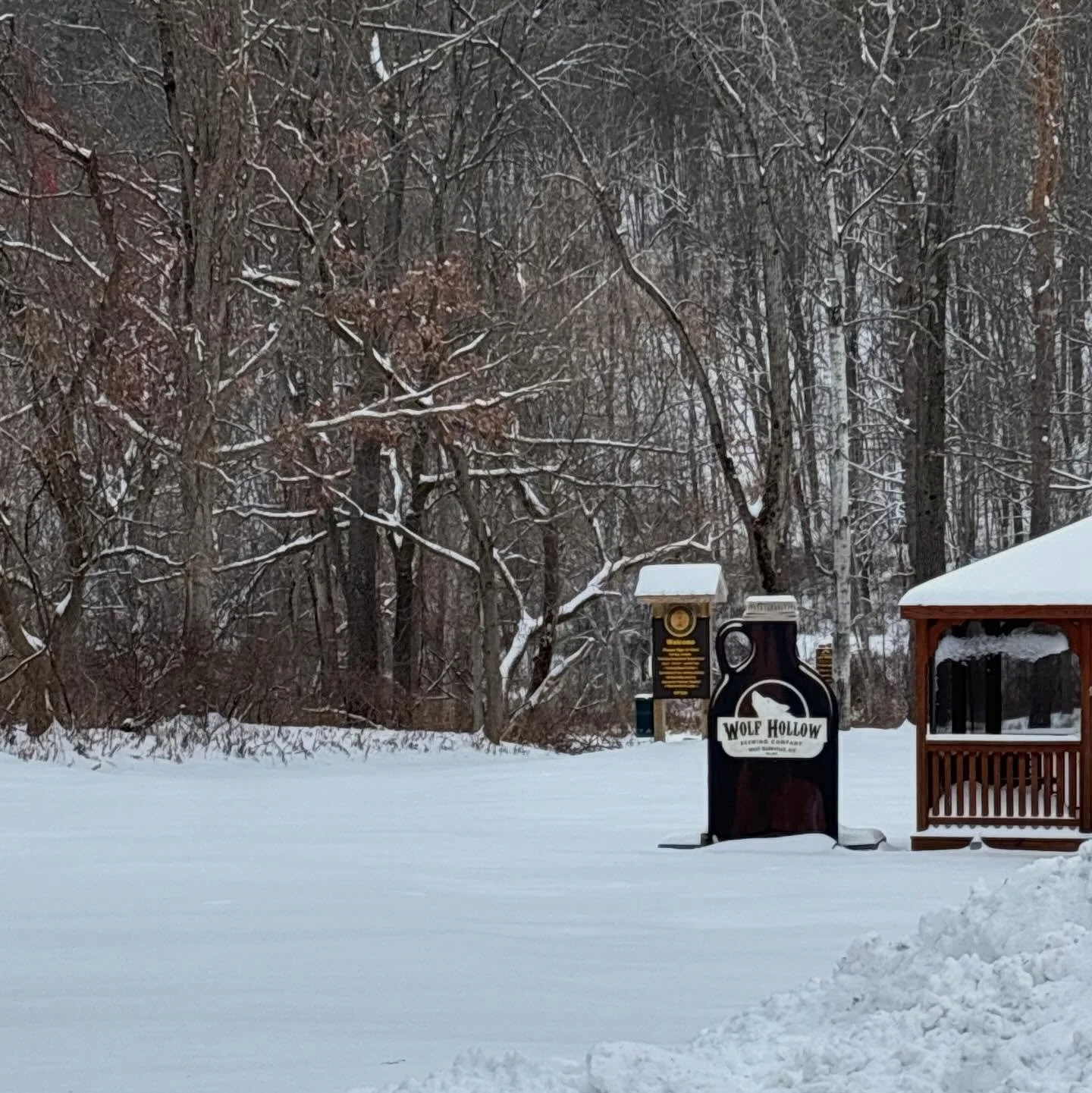 Yard looks great! Perfect for snowshoes and XC skis this afternoon. Stick around and enjoy the funky grooves of the @thealeclewisgroup, show starts at 6pm. #saturday #winter #snow #outdoors #yourbeerbrewedhere