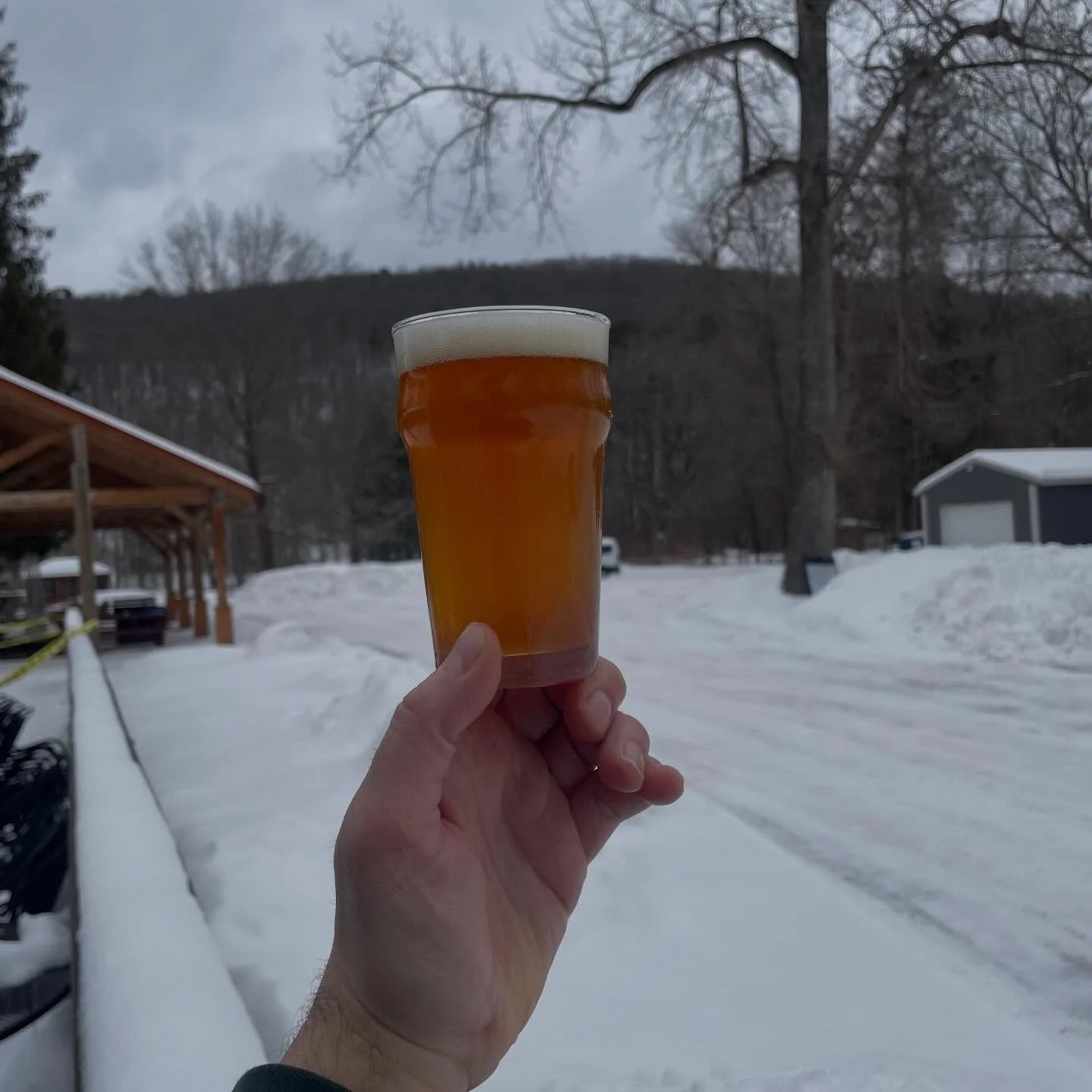 🚨New Beer Alert🚨  The first collaboration between @chathambrewing and Wolf Hollow, Chatty Wolf is an old-school West Coast IPA. A flavor celebration featuring Cryo-Centennial hops, the notes of citrus and pine are bright and crisp, but all that fla