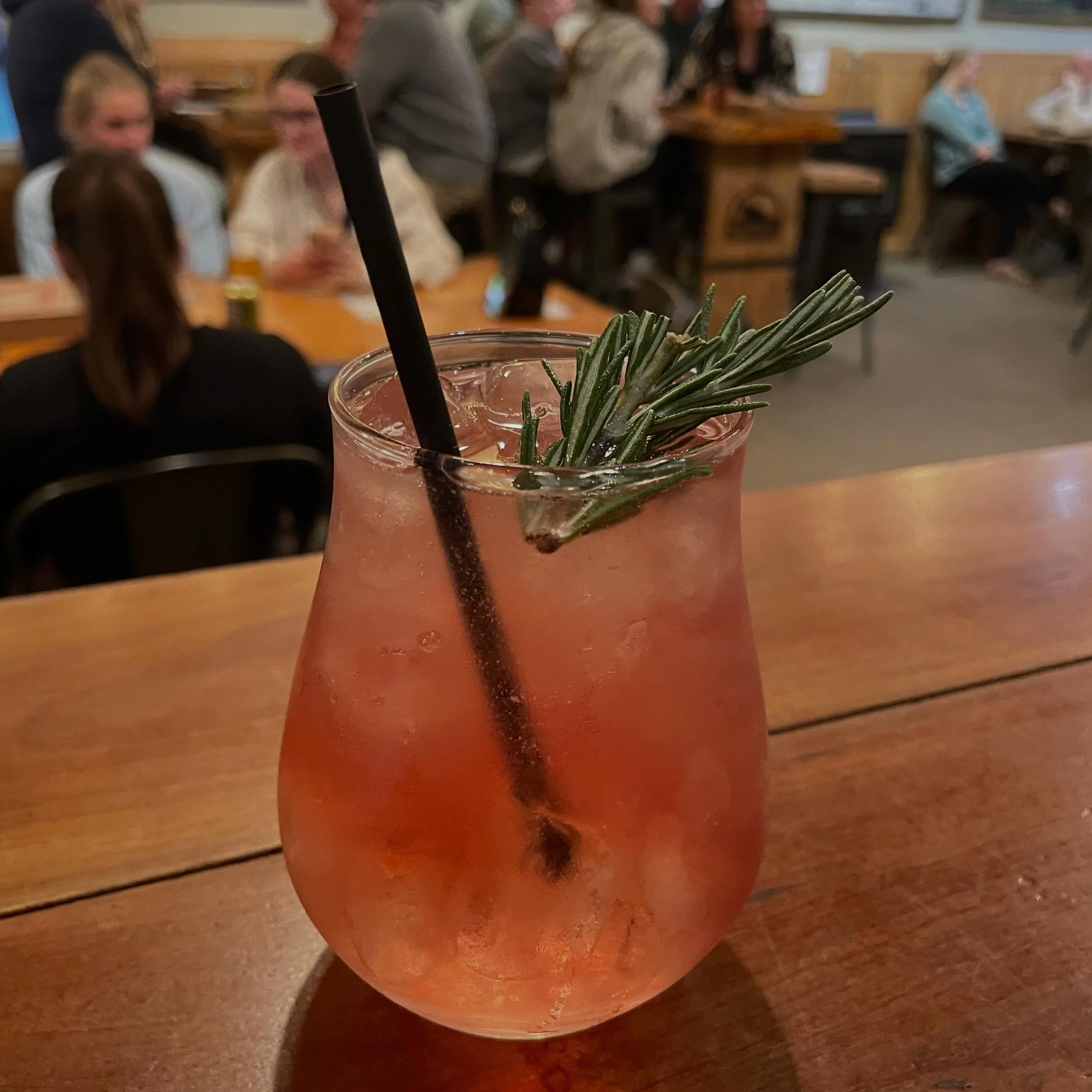 Welcome back @unioncollege alumni! Created by two soon-to-be Union College grads, introducing our newest cocktail offering: The Union Garnet. Guide Boat Gin @murraysfools, pomegranate liqueur, cranberry, lime, and simple syrup topped with soda water 