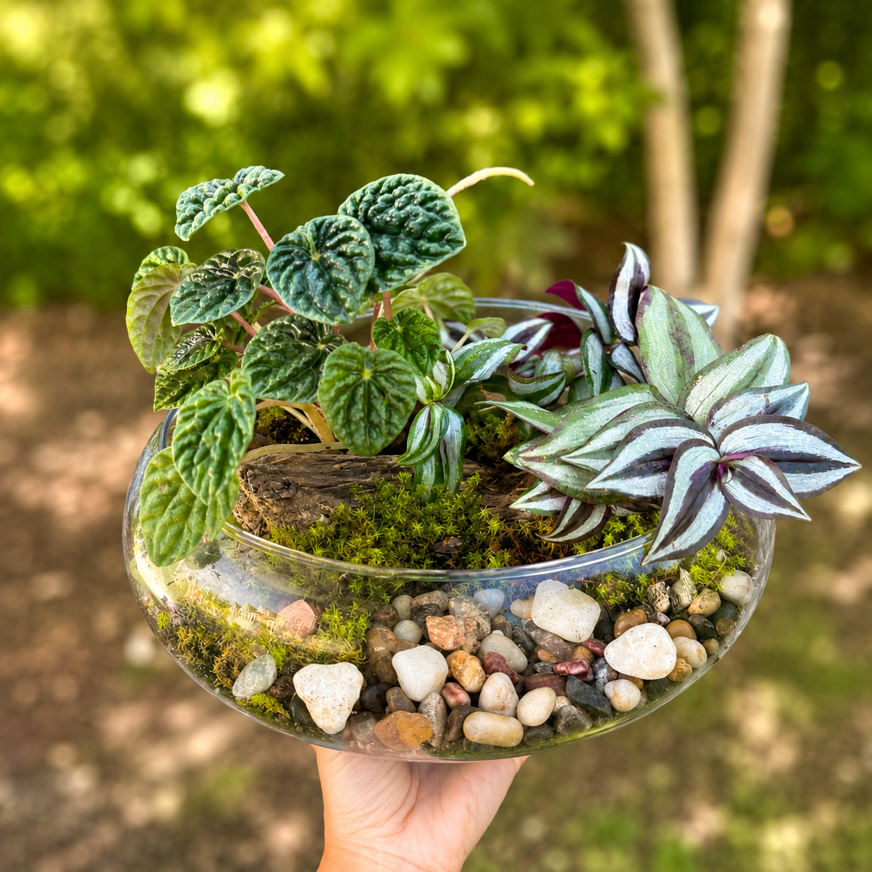 Moss Garden Workshop 