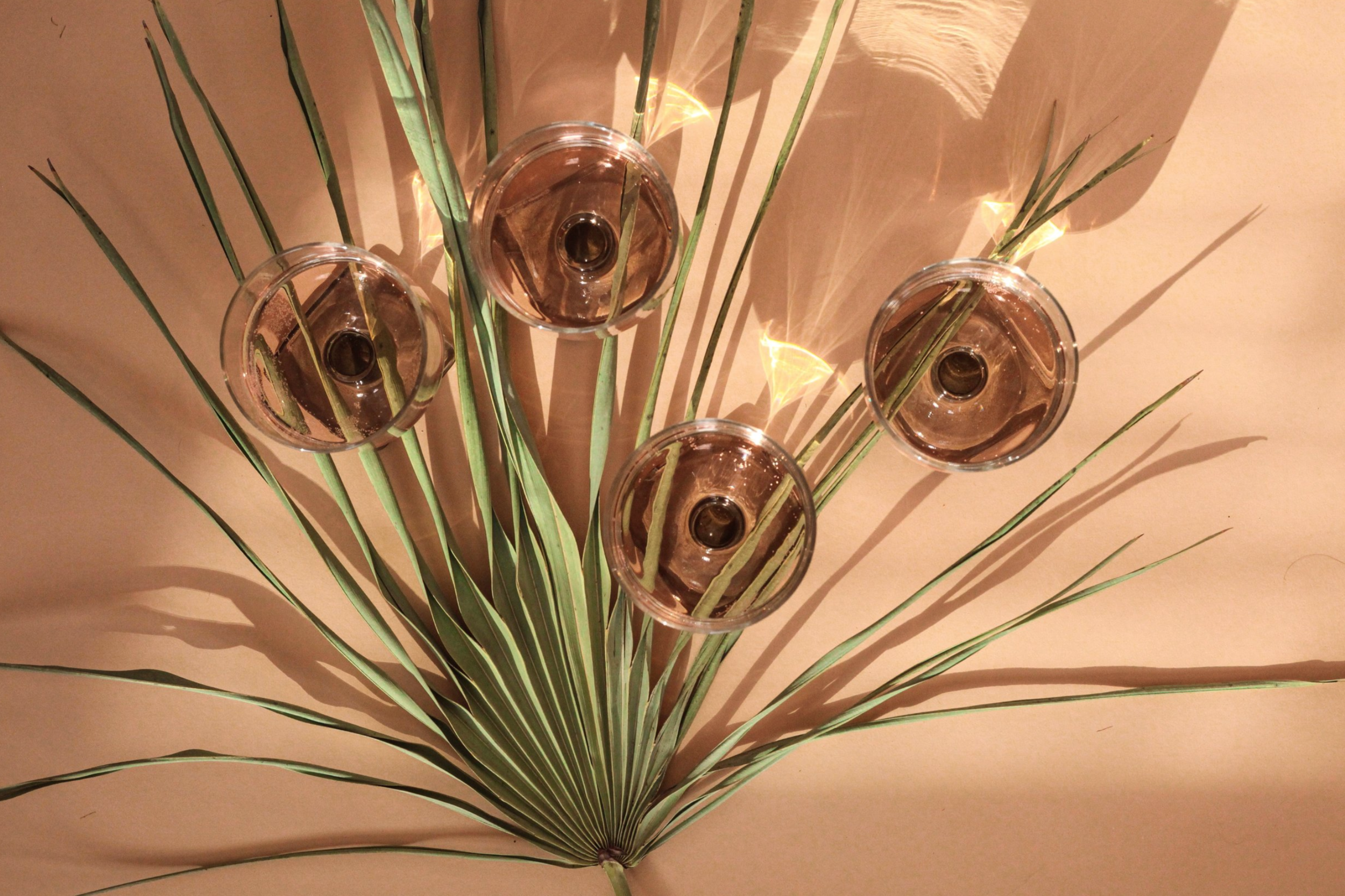 Screen Shot 2020-01-07 at 11.03.00 AM.png