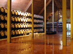 chappelletwinery1.jpg