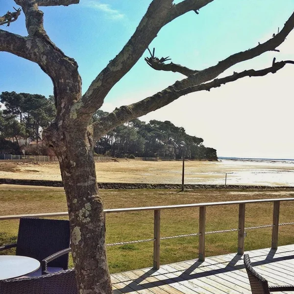 julesetmoi-mariage-au-cap-ferret-la-recherche-de-lieu-3.jpg