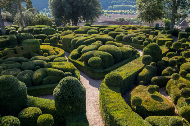  Dordogne, France - September 3, 2018: Topiary in the gardens of the Jardins de Marqueyssac in the Dordogne region of France 