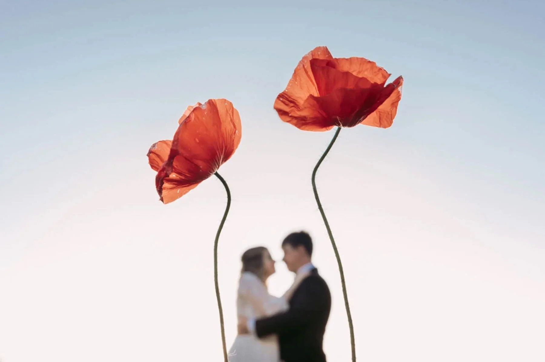 Gianfranco Traetta – Photographe de mariage en Italie | Blog Jules & Moi