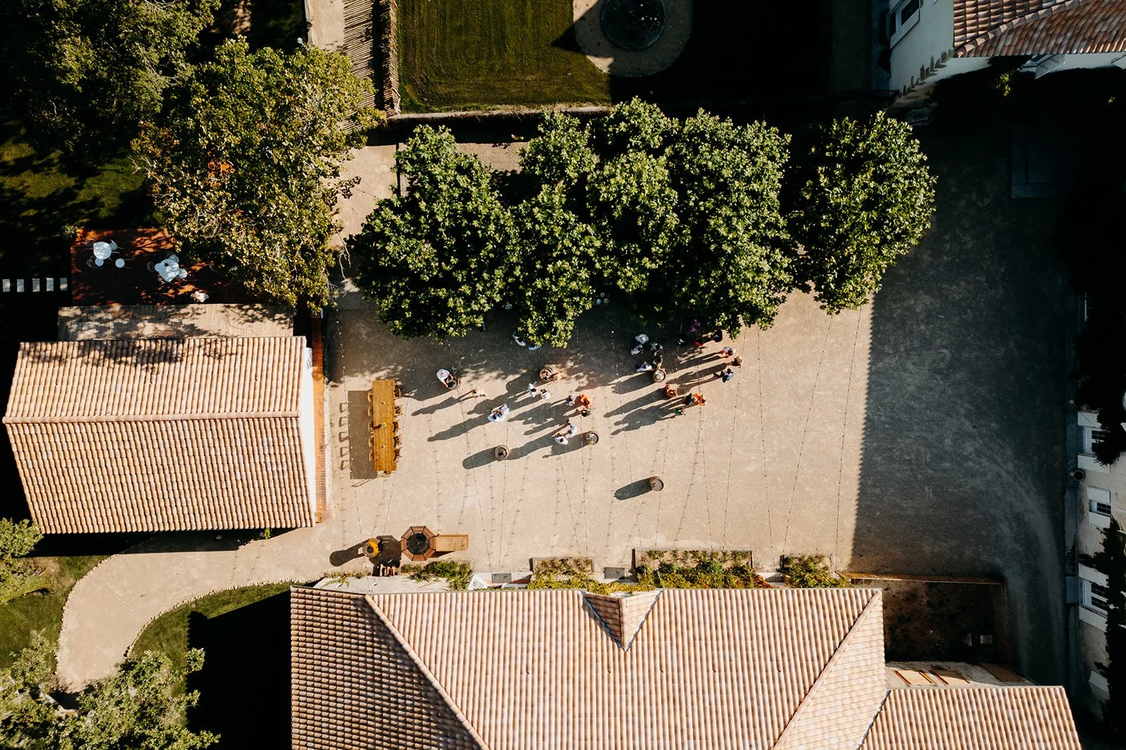 Domaine de Bassibé-thomas-dalfarra-jules-et-moi