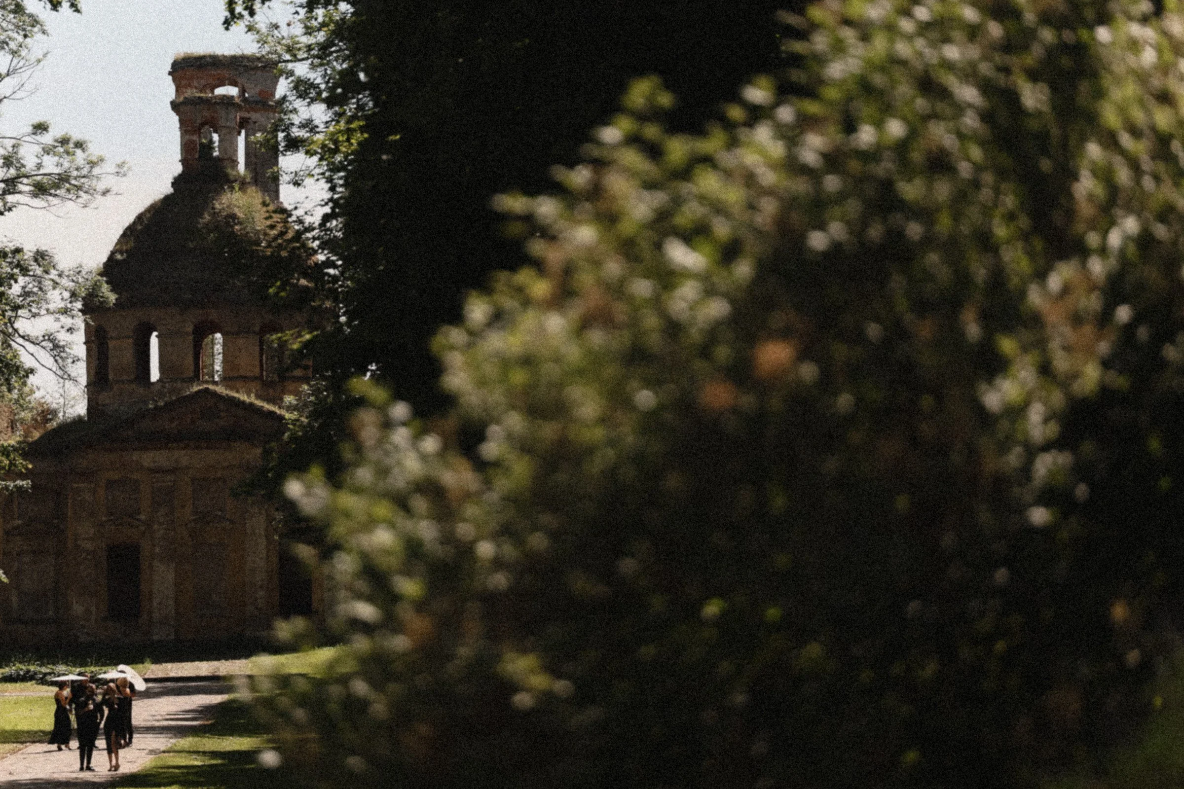 Photographe de mariage Igor Sazonov : Style naturel et élégant