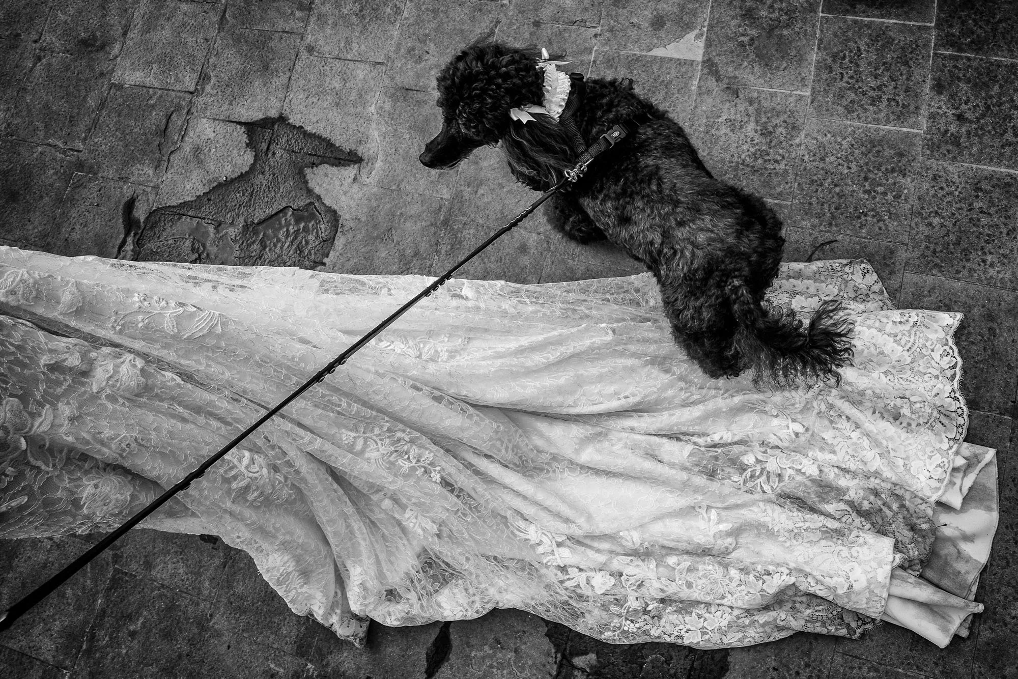 Reportage photo mariage Corse avec Jules &amp; Moi