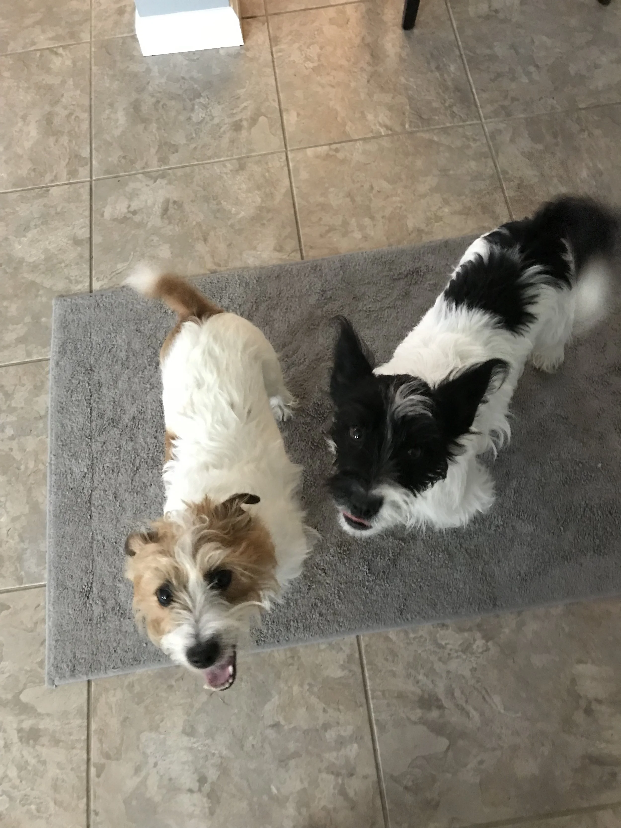 Tucker &amp; Spencer