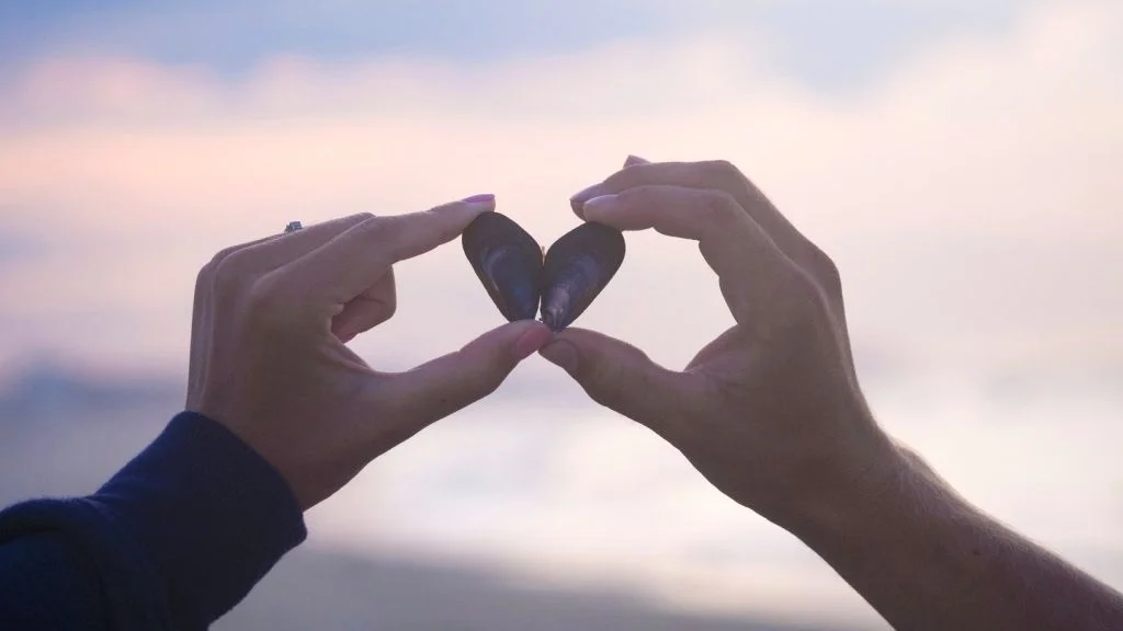 loveofnature.jpg