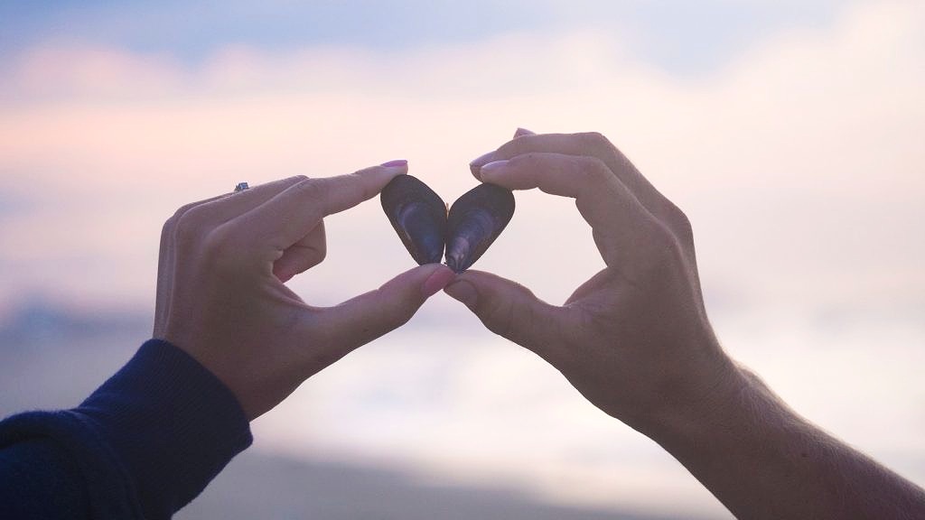 loveofnature.jpg