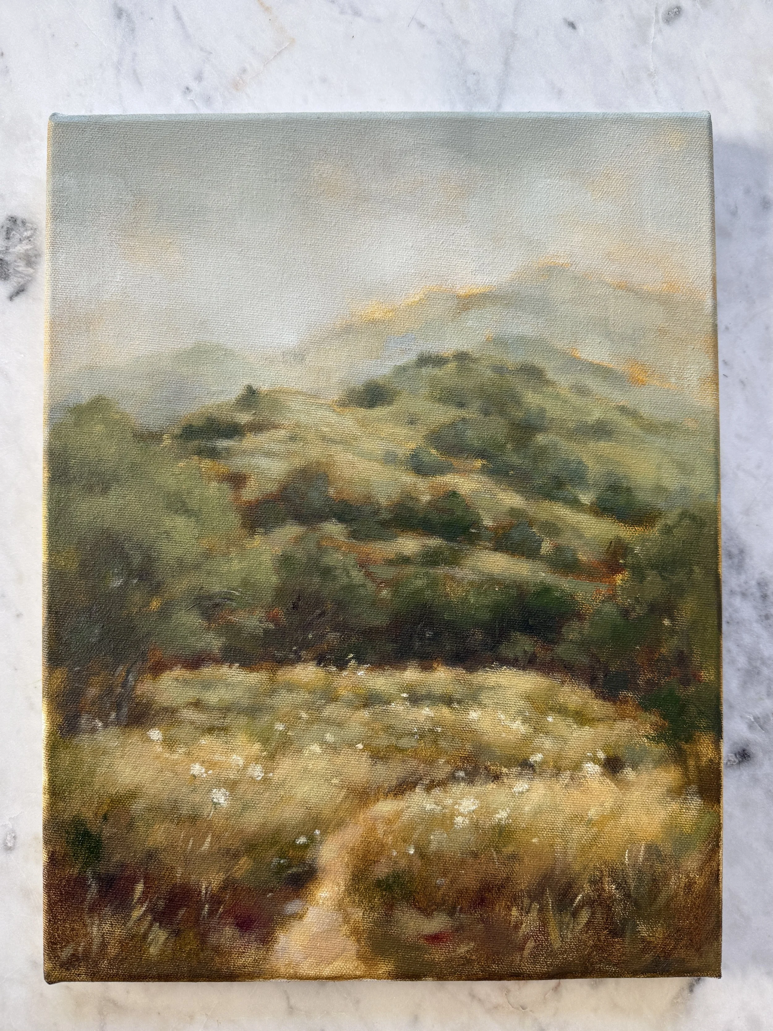 Lifing My Eyes to the Hills III - An Original Oil Painting on Canvas 11 x 14