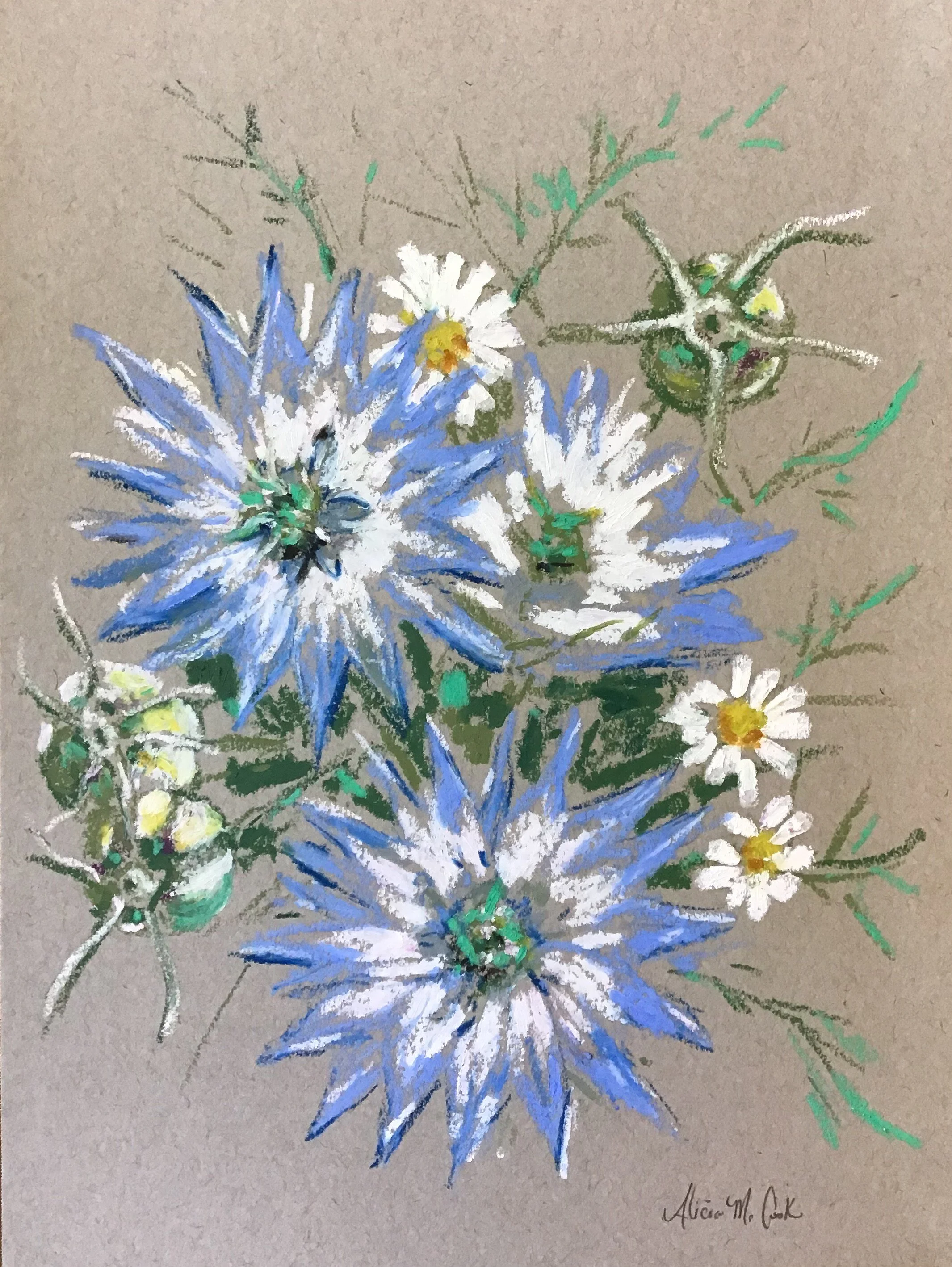 Nigella, "Love-in-a-Mist" from the Floral Gathering Collection