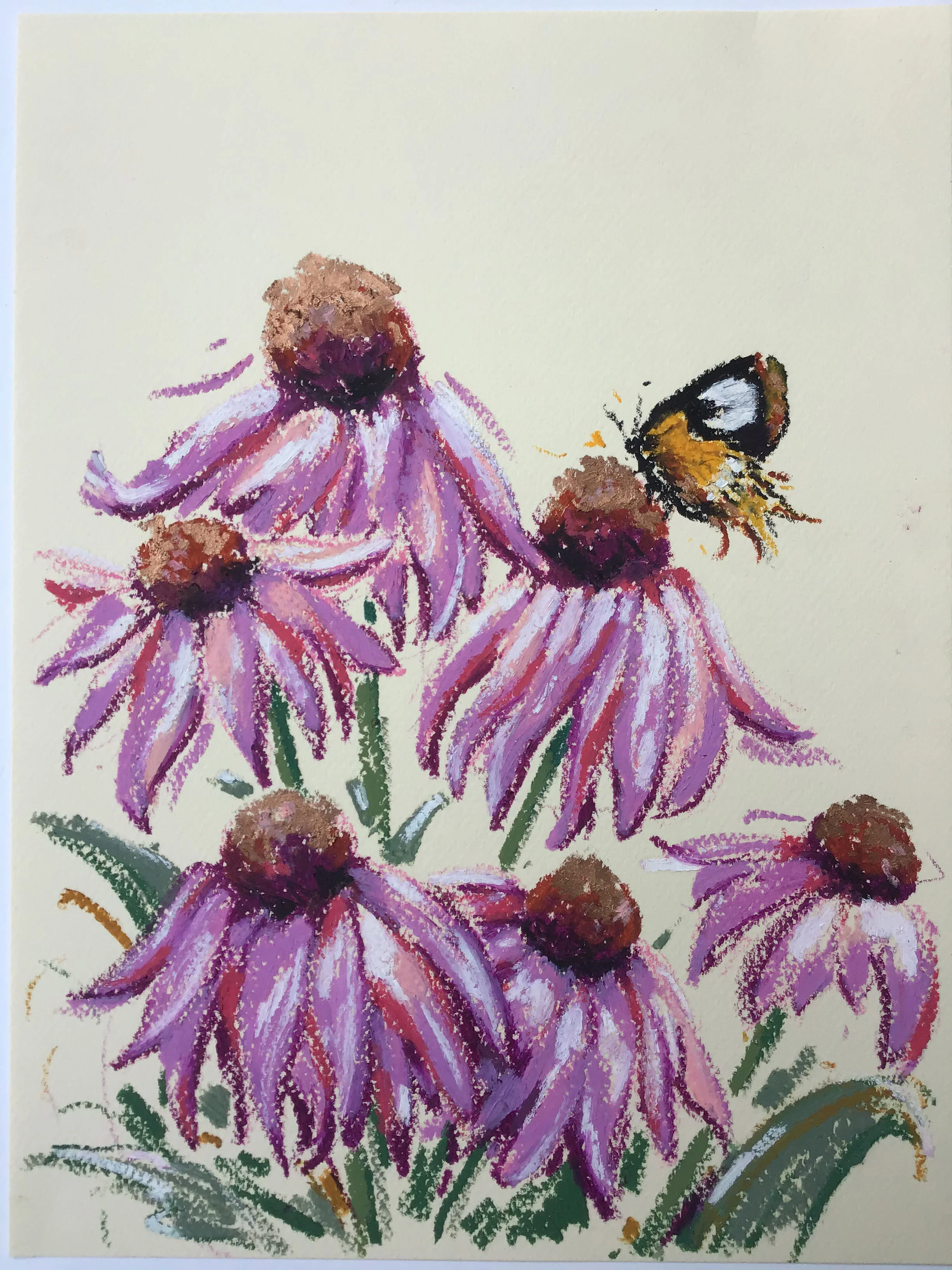 Coneflowers with Butterfly, from the Floral Gathering Collection