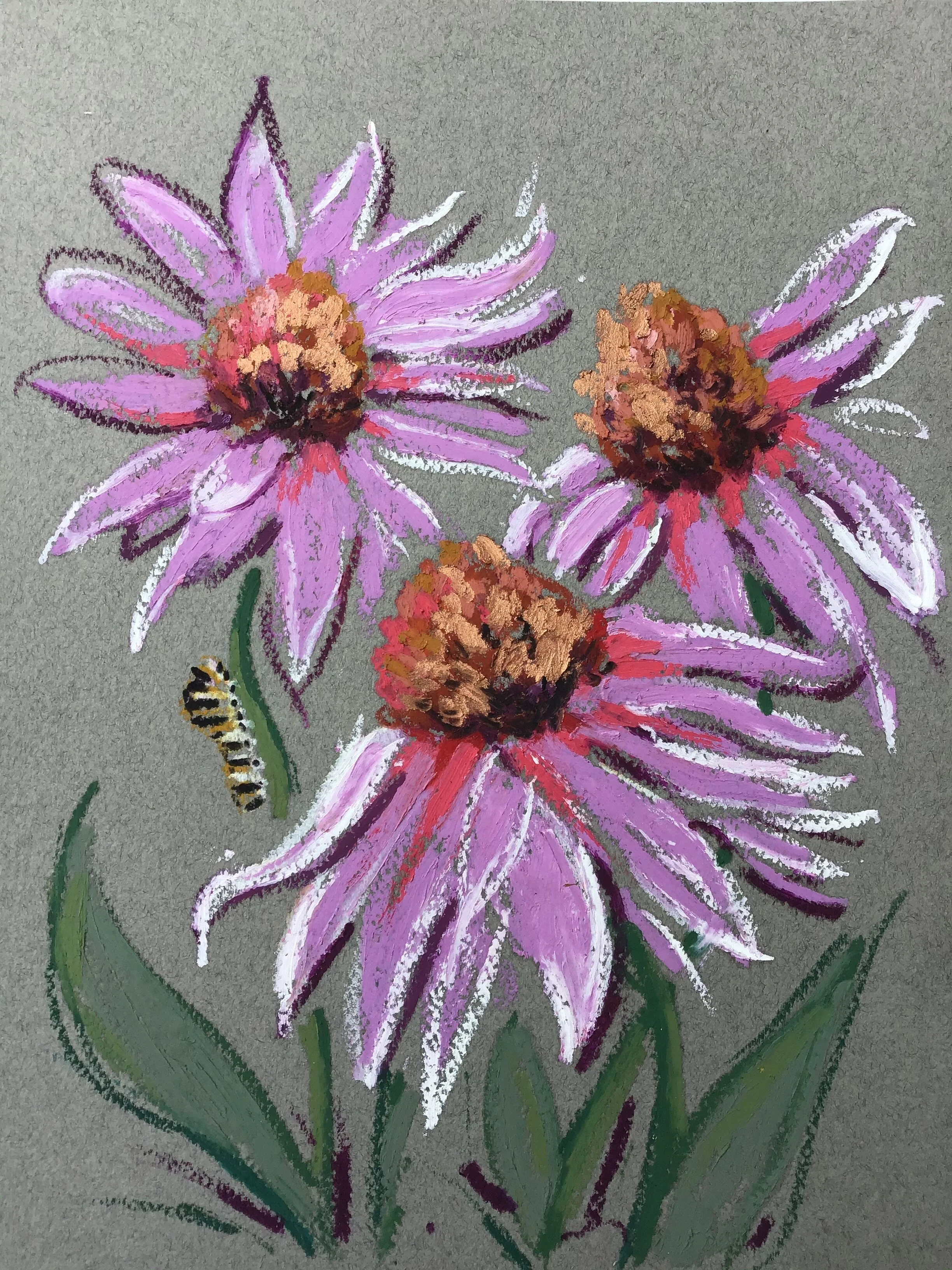 Coneflowers with Catterpillar, from the Floral Gathering Collection