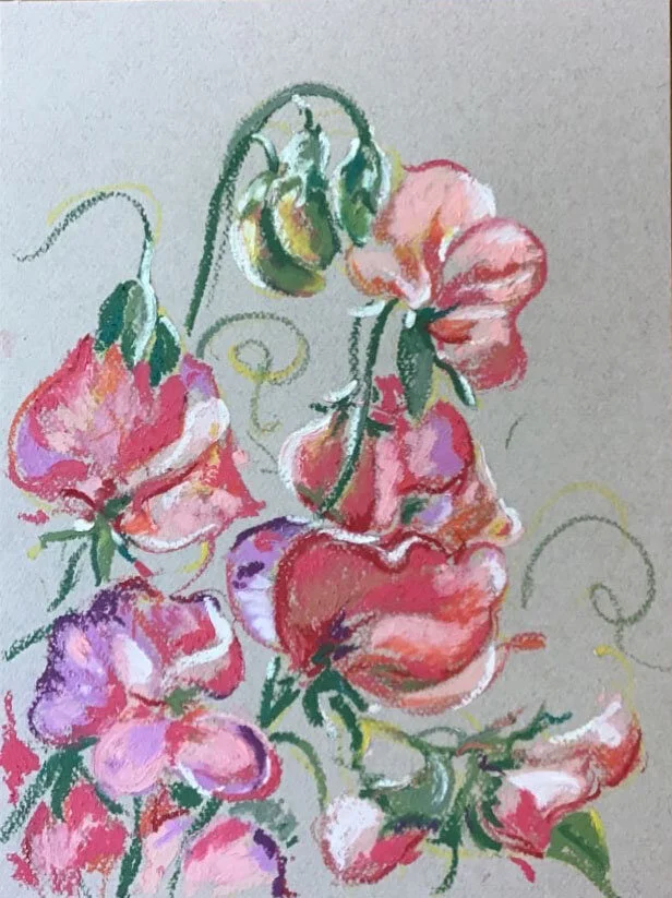 Floret's Sweet Peas, from the Floral Gathering Collection