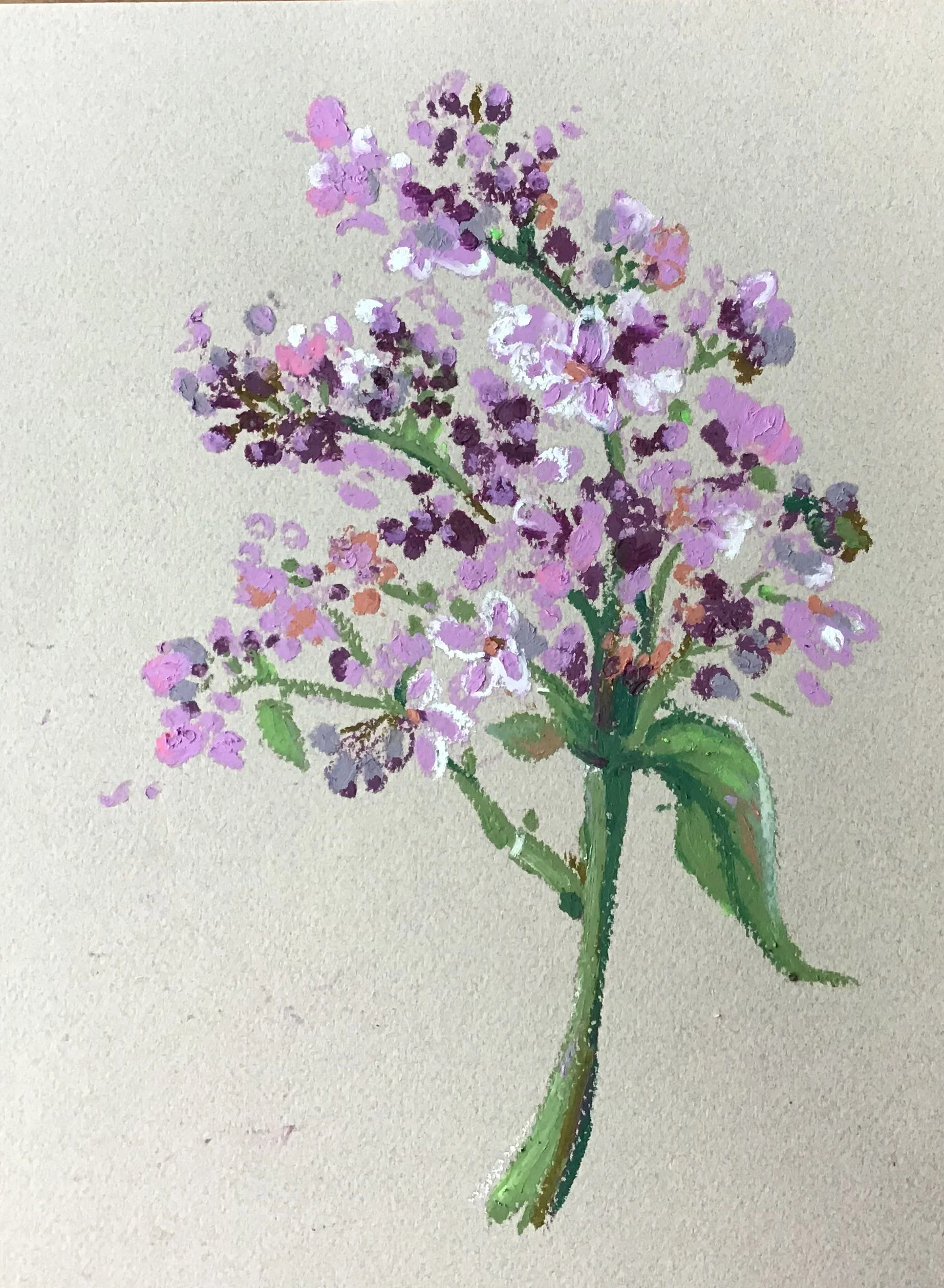 Lilac, from the Spring Gathering Collection