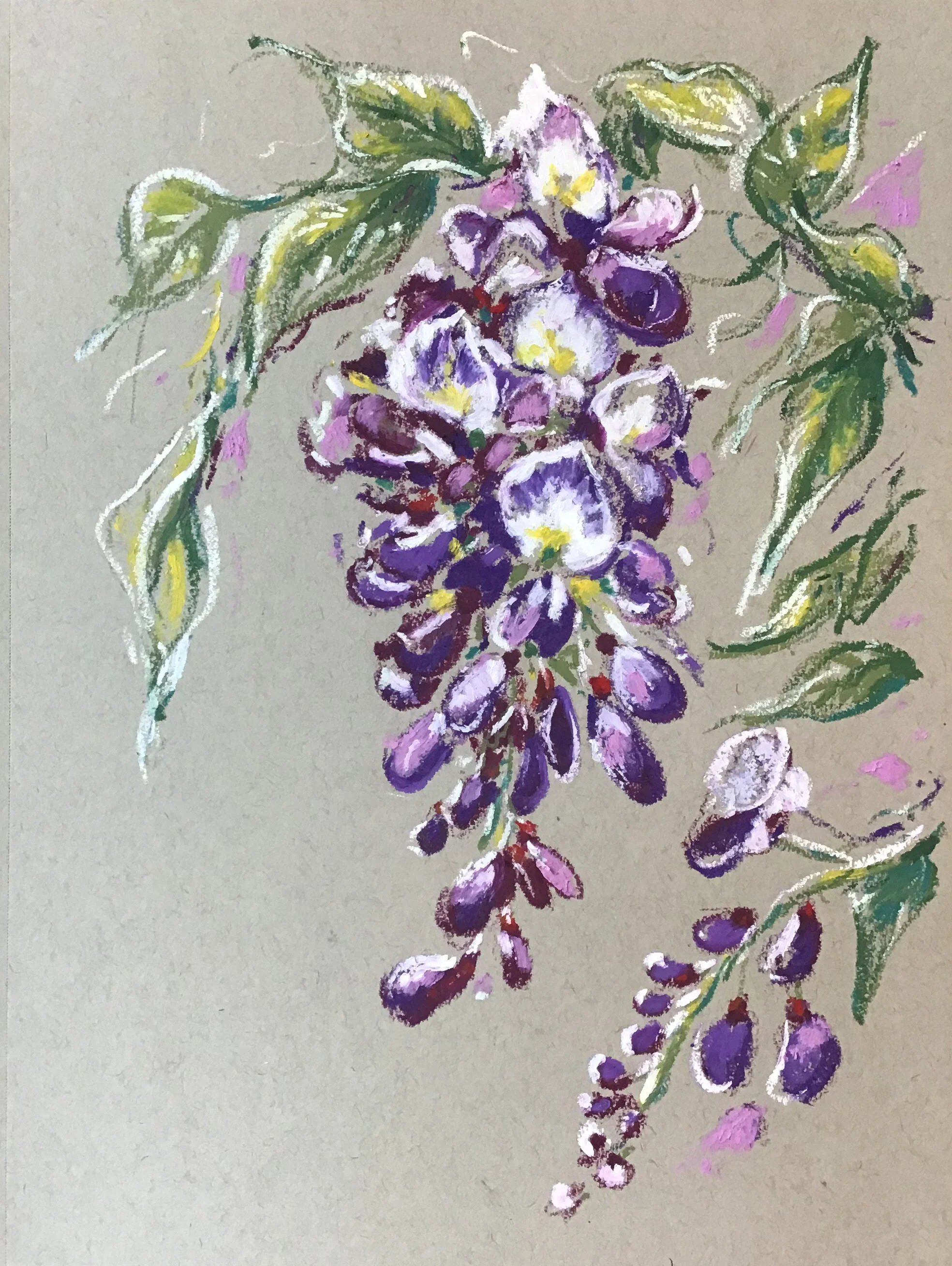Wisteria, from the Floral Gathering Collection