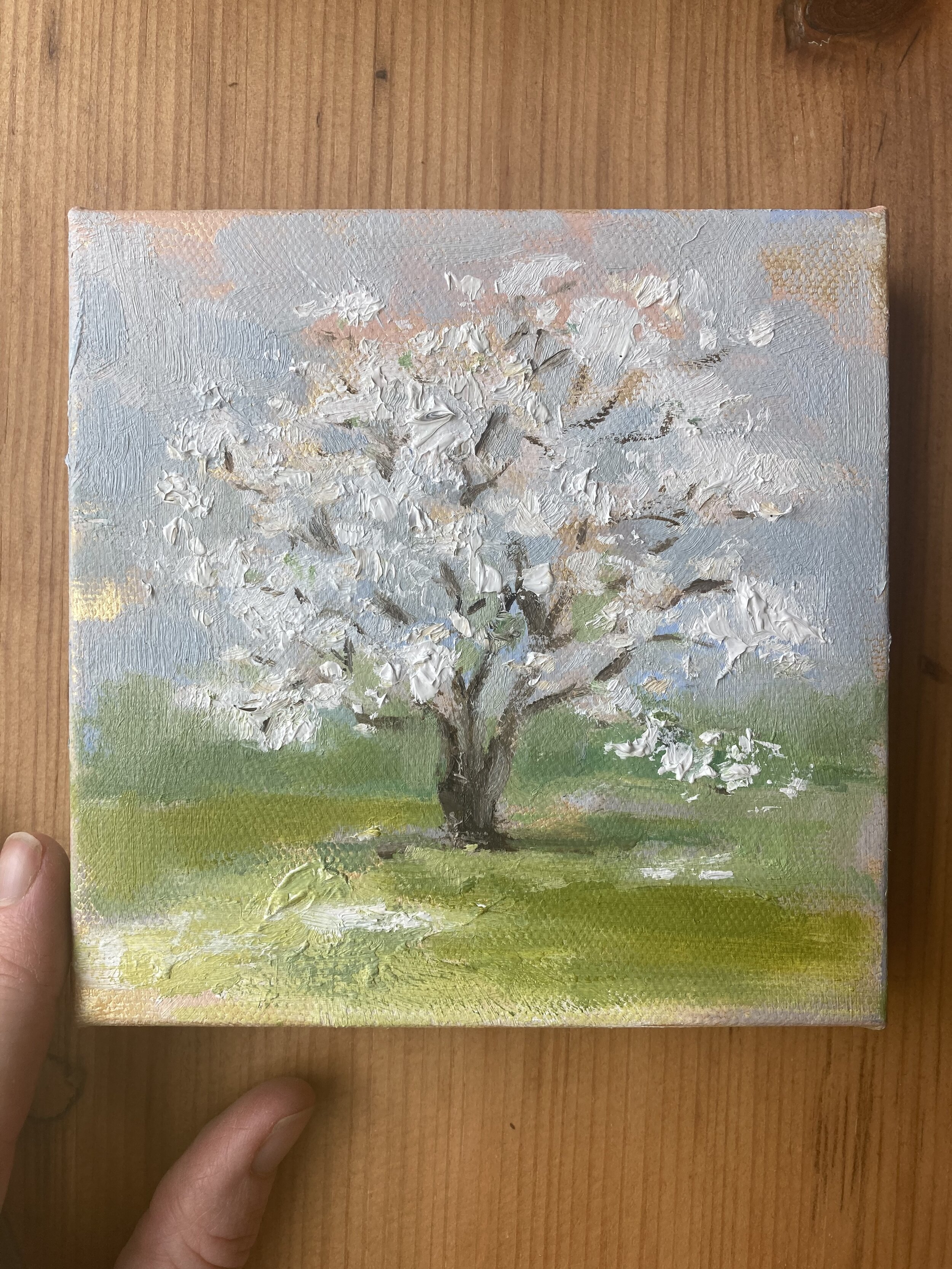 In Bloom I,  5 x 5" Oil on Canvas