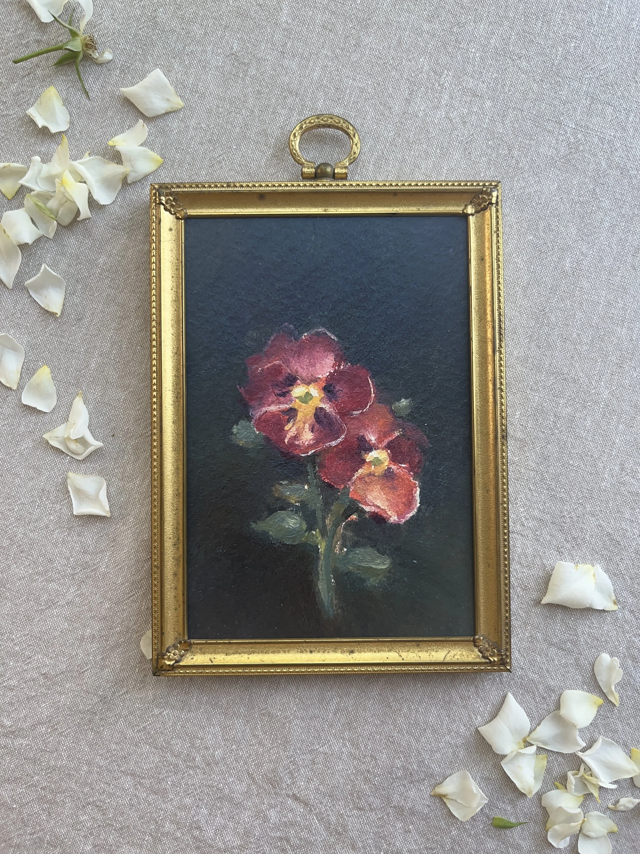 Midnight Antique Shades Pansies