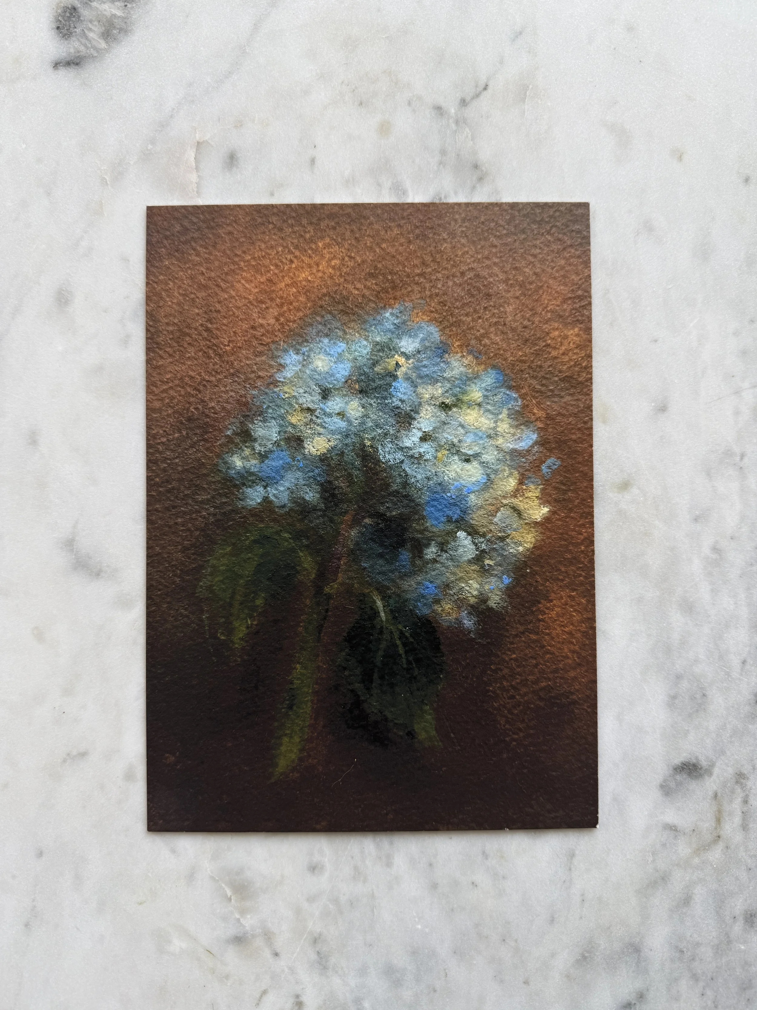 Blue Hydrangea Bloom