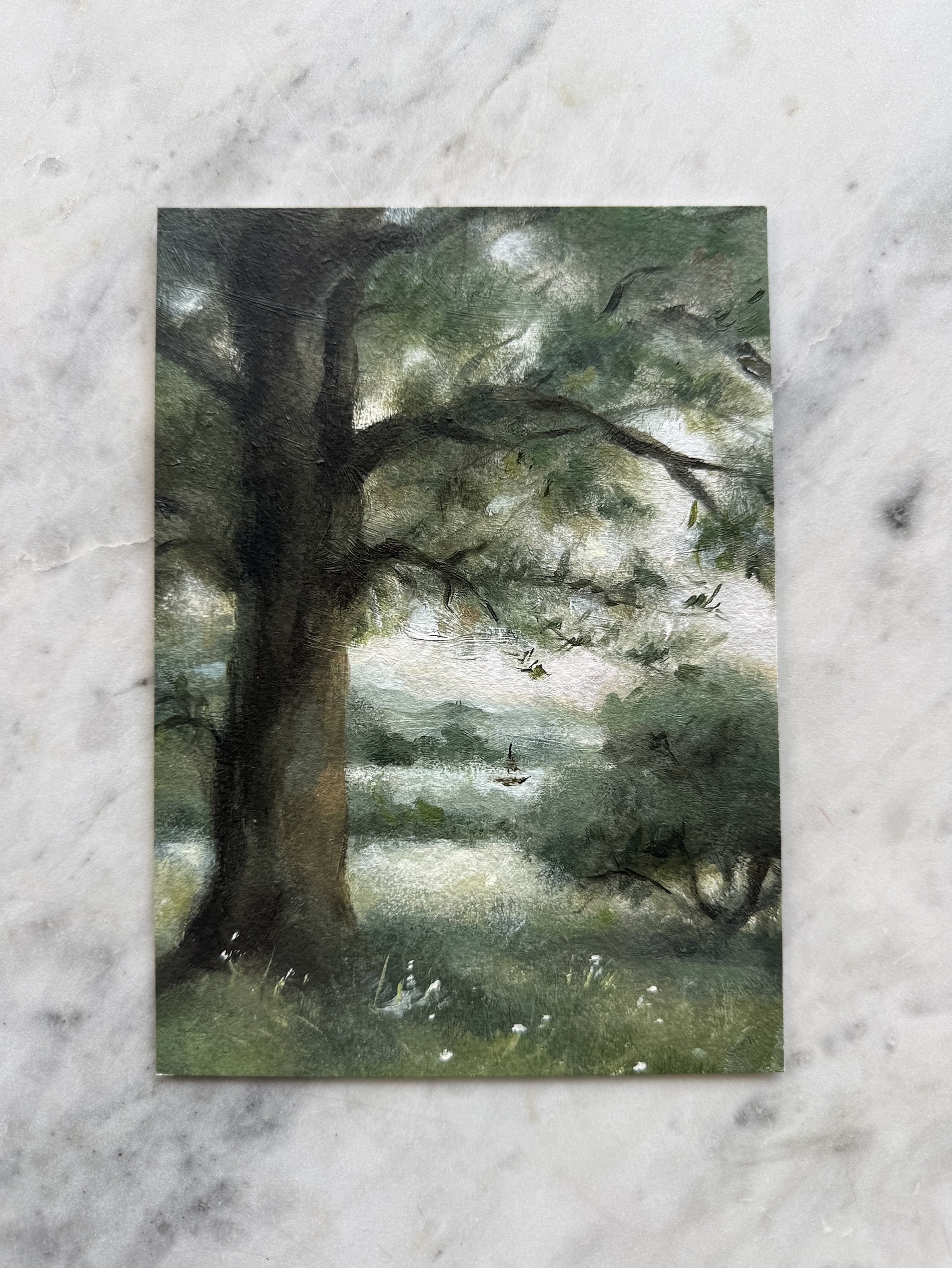 Beyond the Grandfather Tree