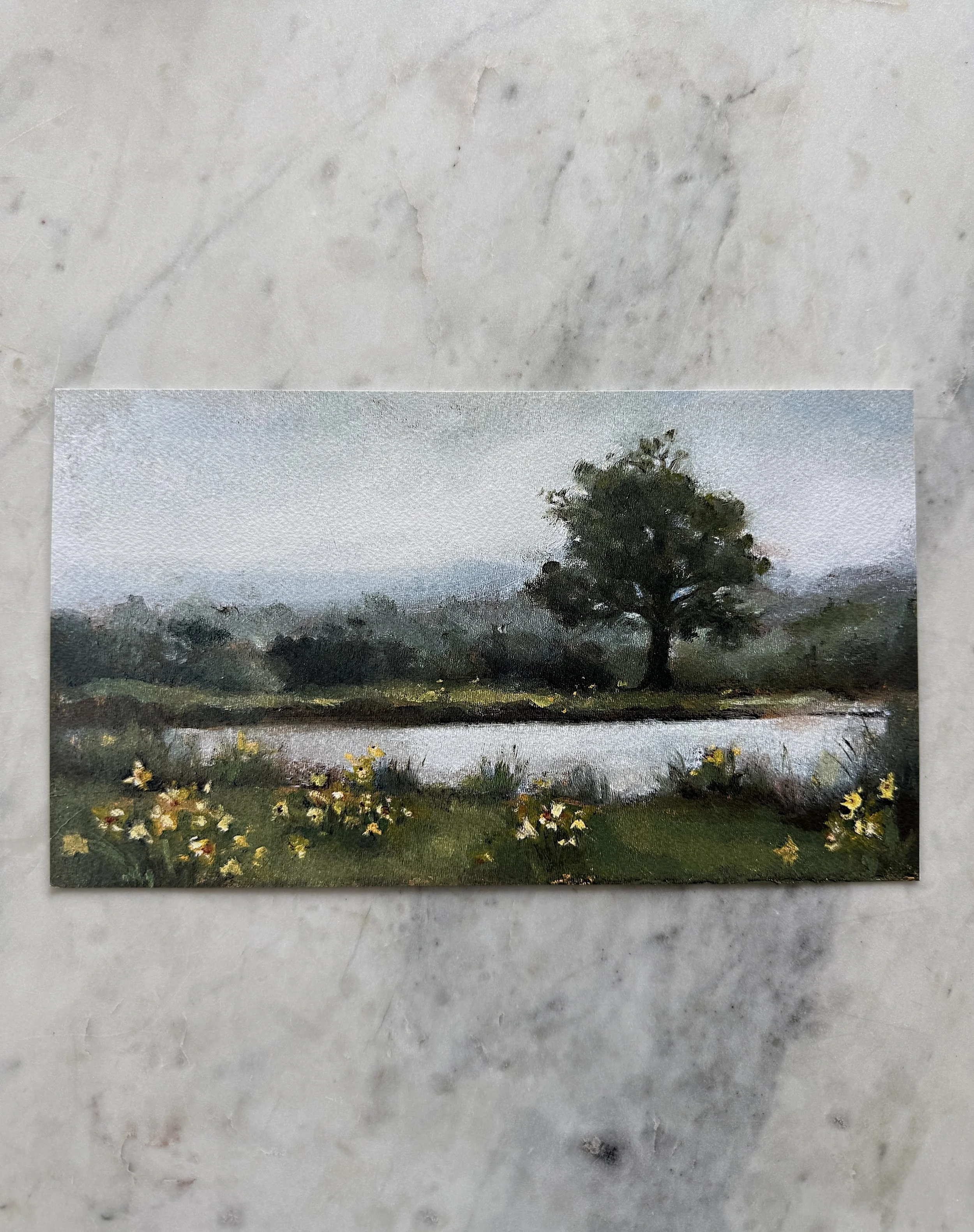 Serene Daffodil Landscape