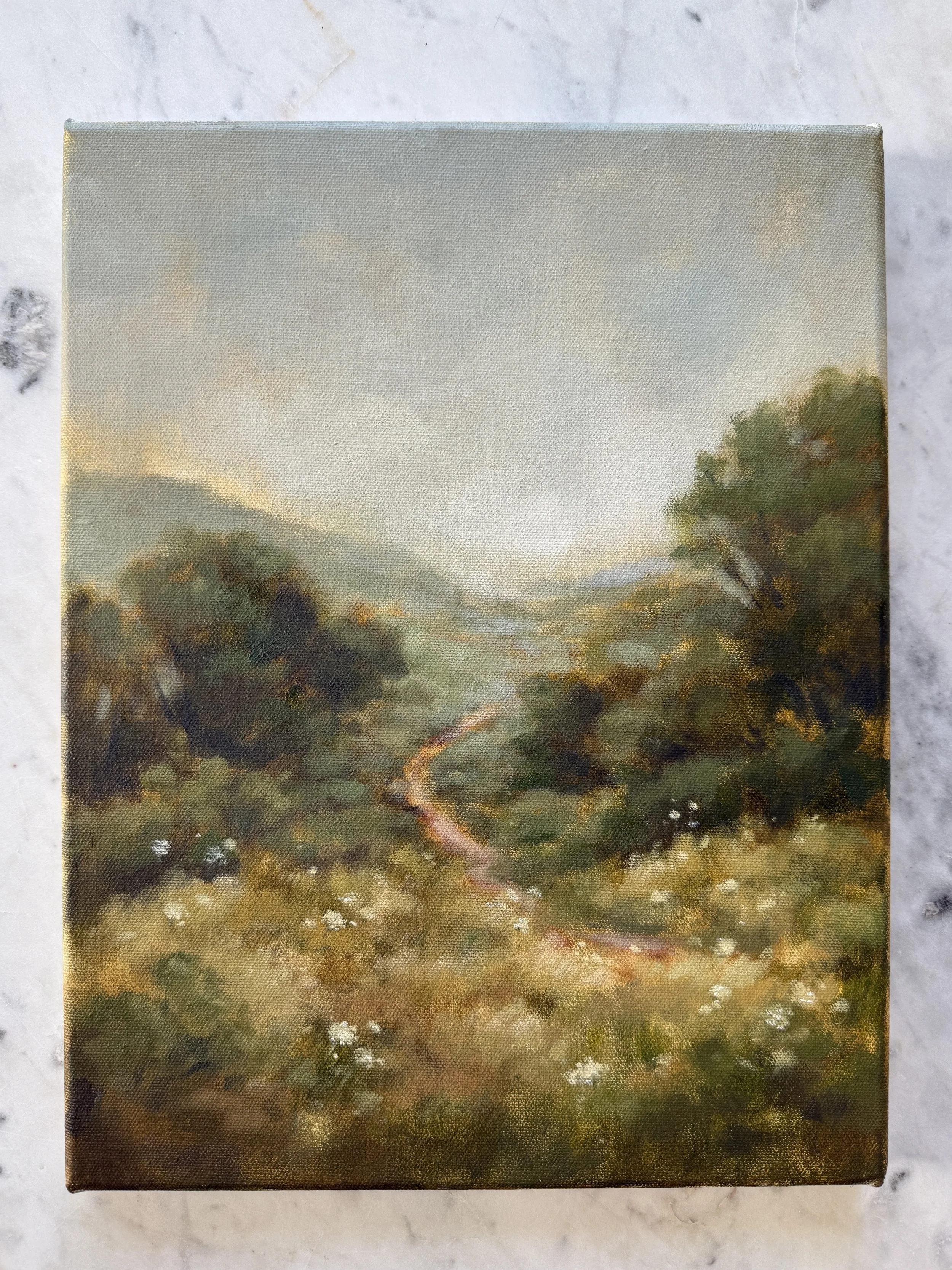 Lifing My Eyes to the Hills II - An Original Oil Painting on Canvas 11 x 14