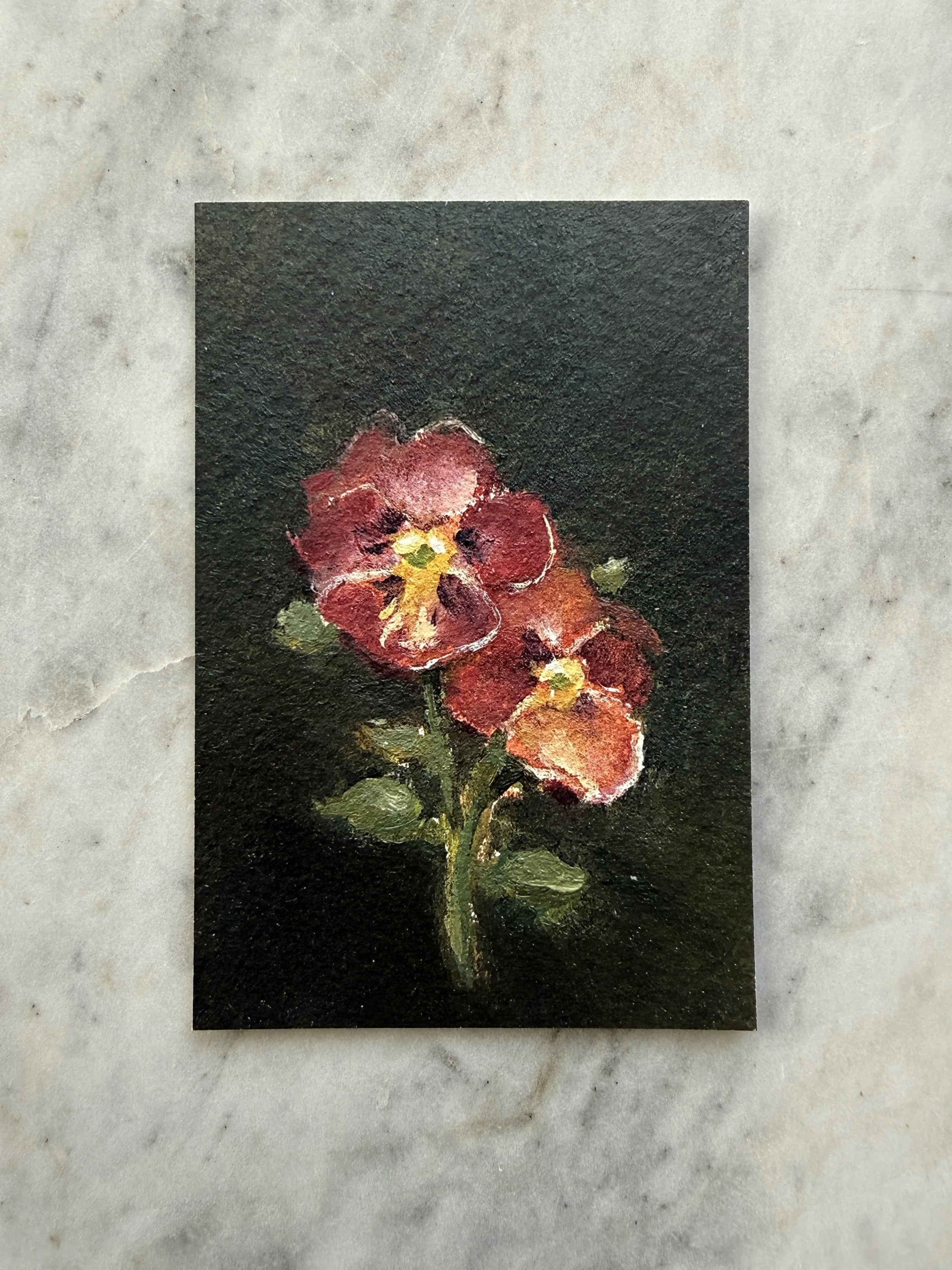 Midnight Antique Shades Pansies