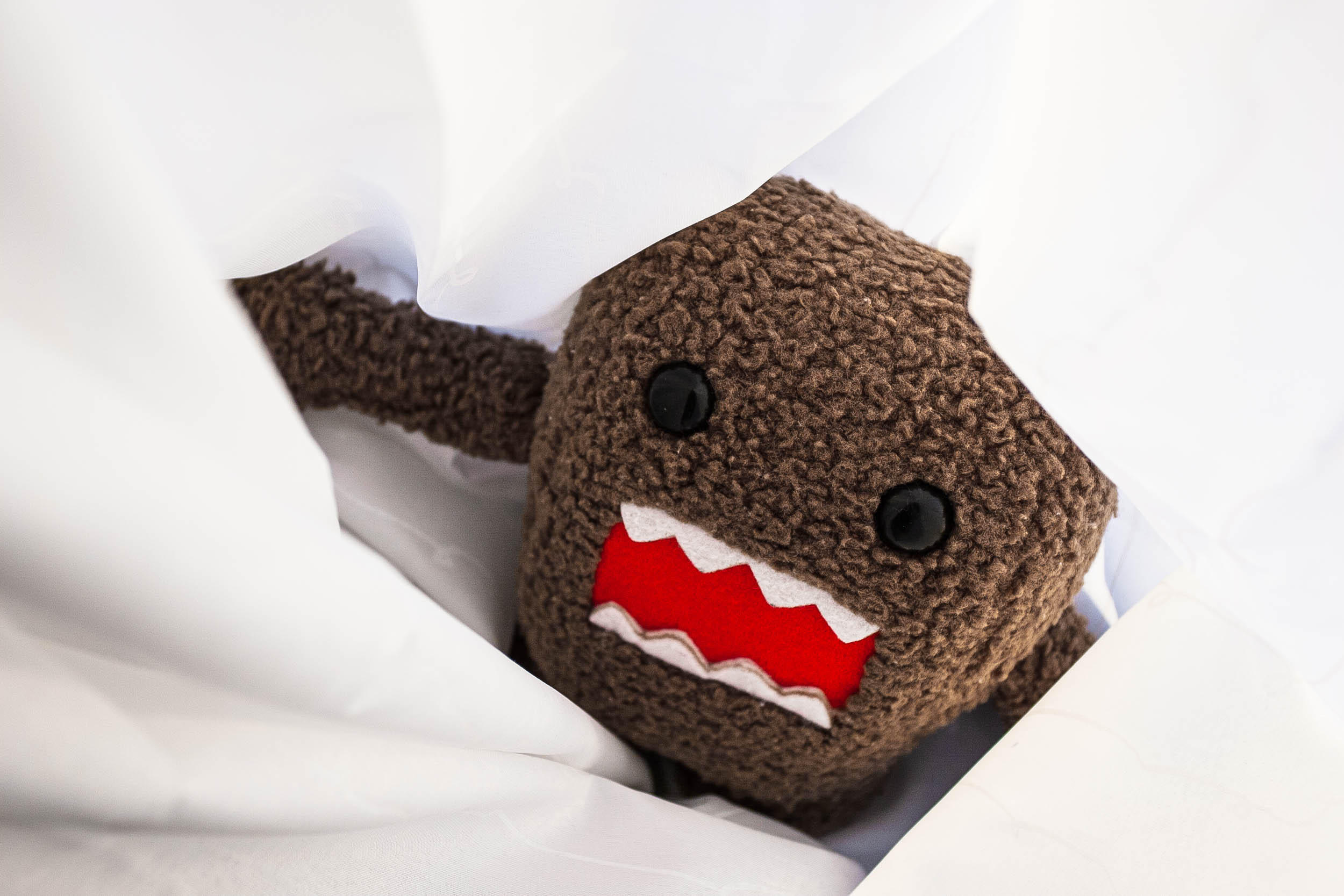  Leave Domo Alone 2008 