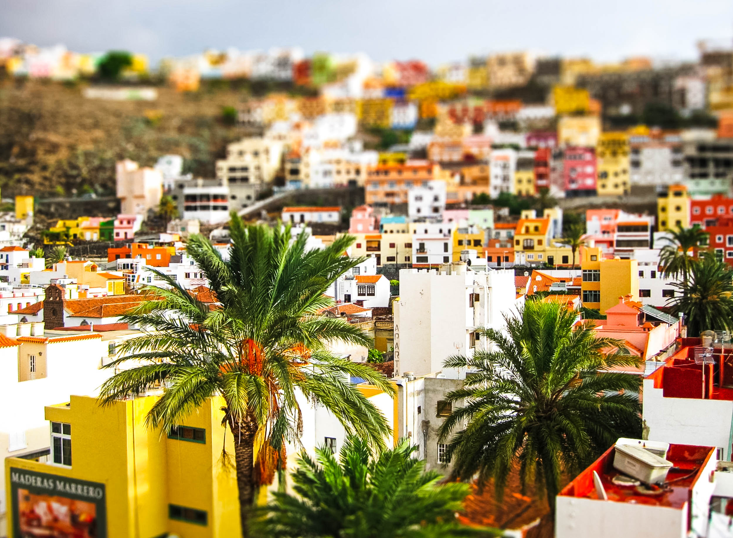 canary-dig-102-tiltshift.jpg