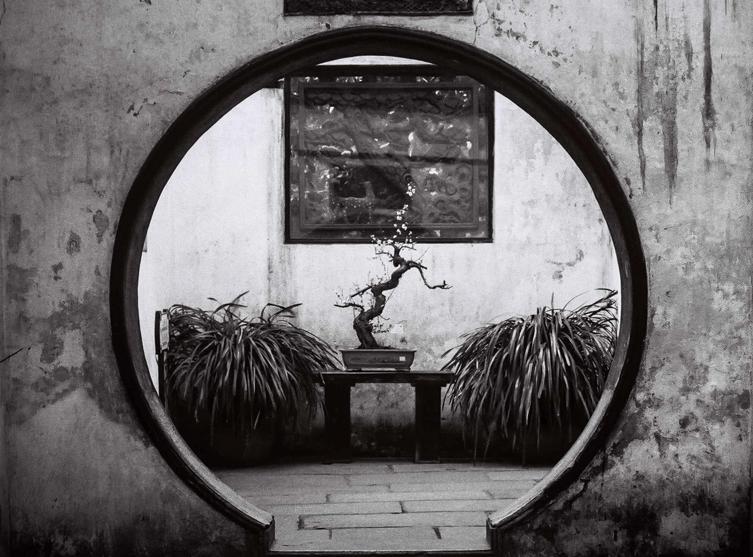 Calming Space ! Yuyuan Gardens, Shanghai, China 2005