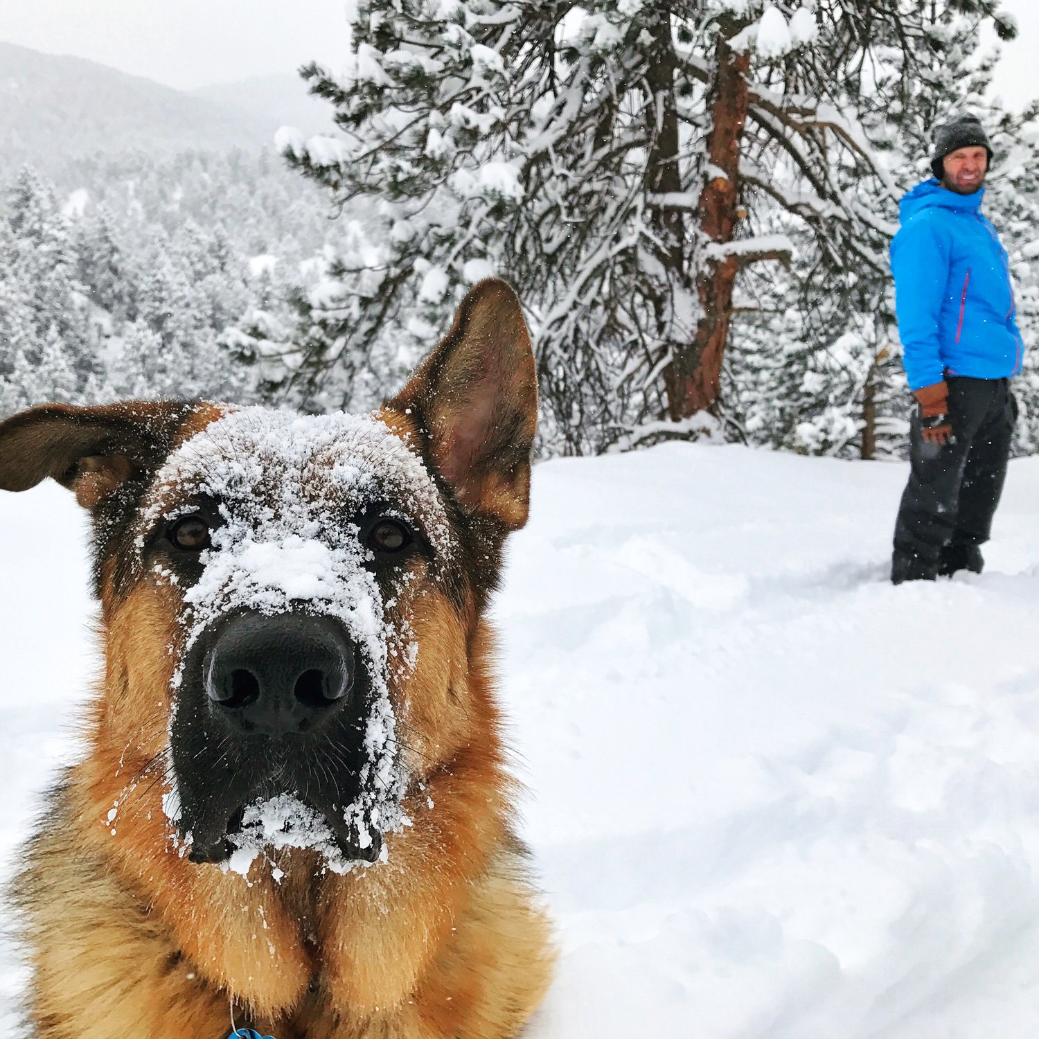 Bosley-Snow-2017.jpg